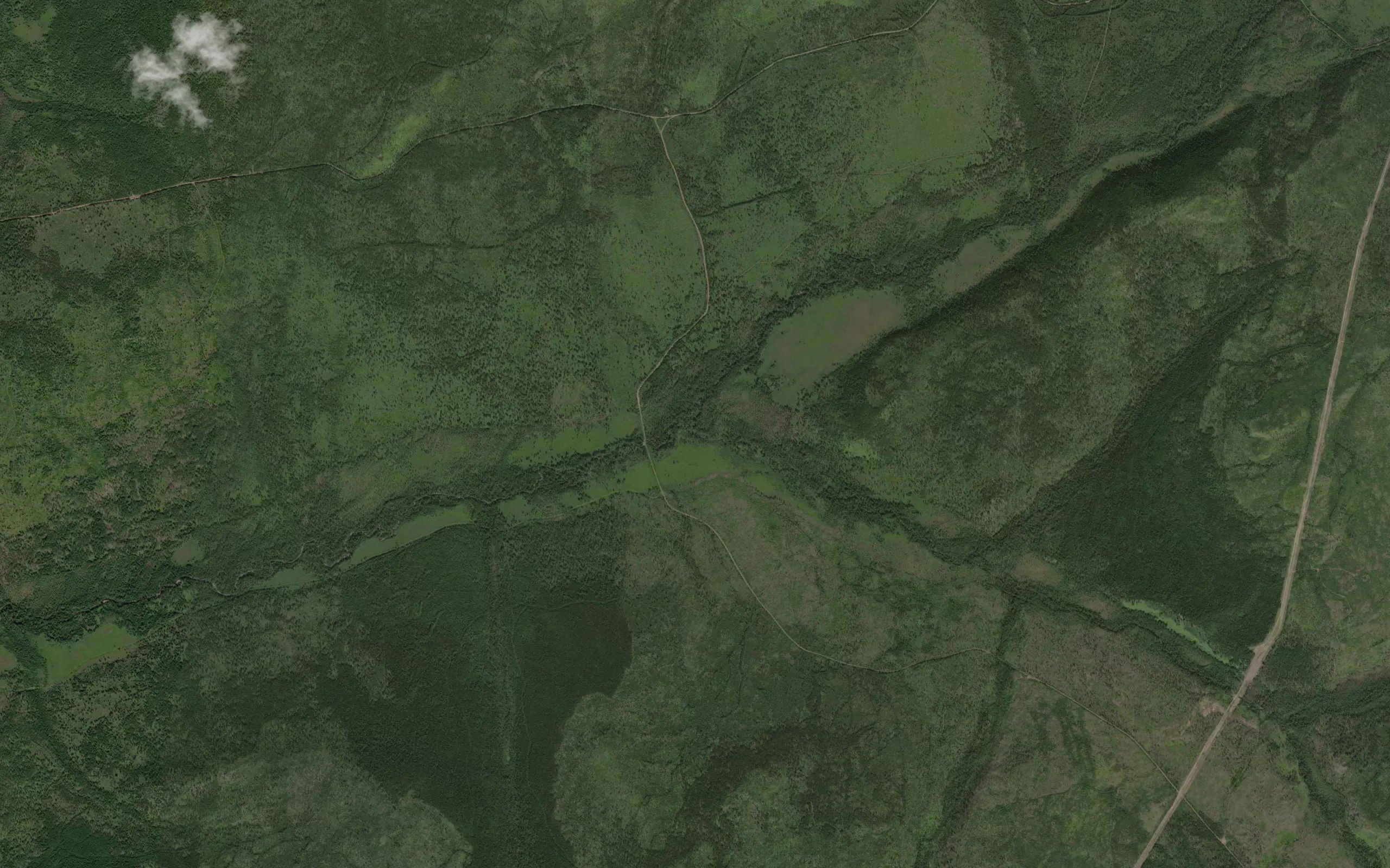 Razlivnaya