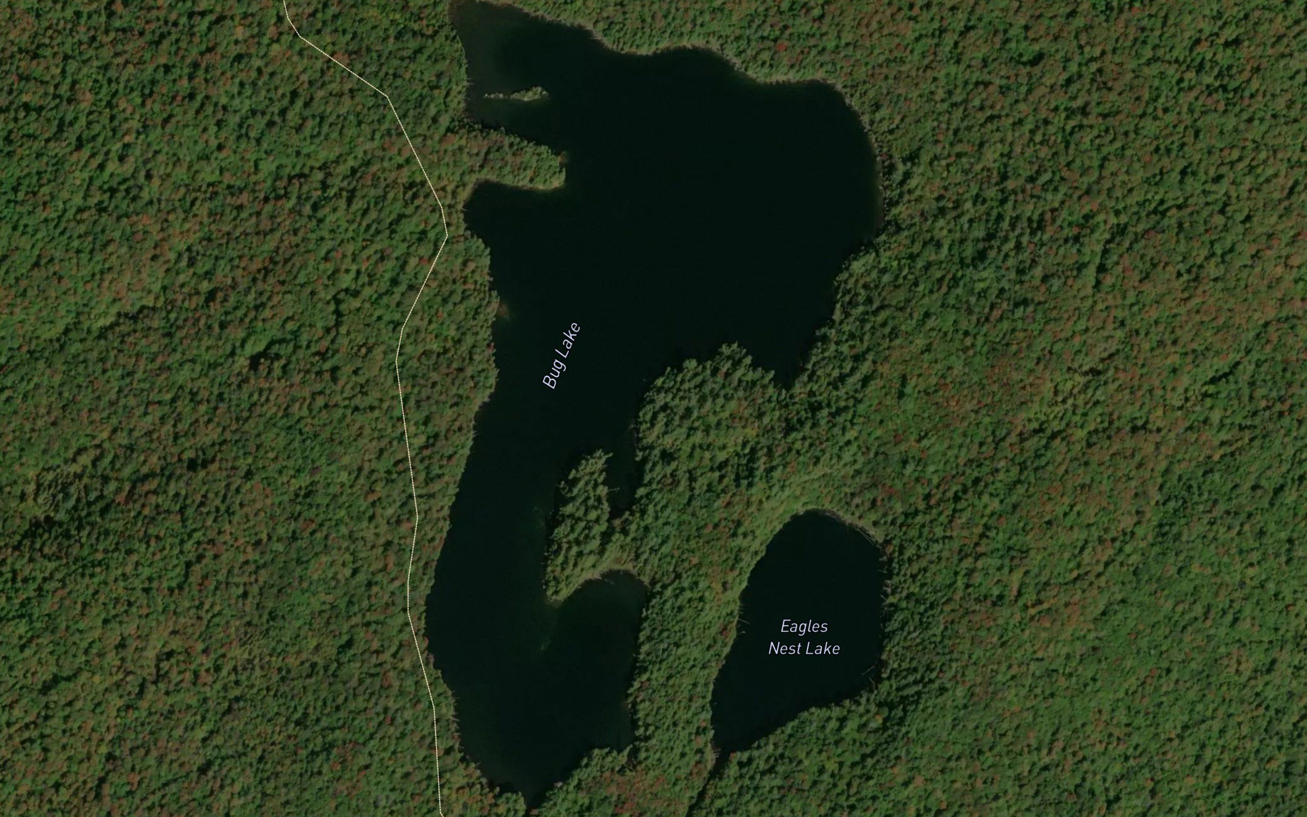 Bug Lake