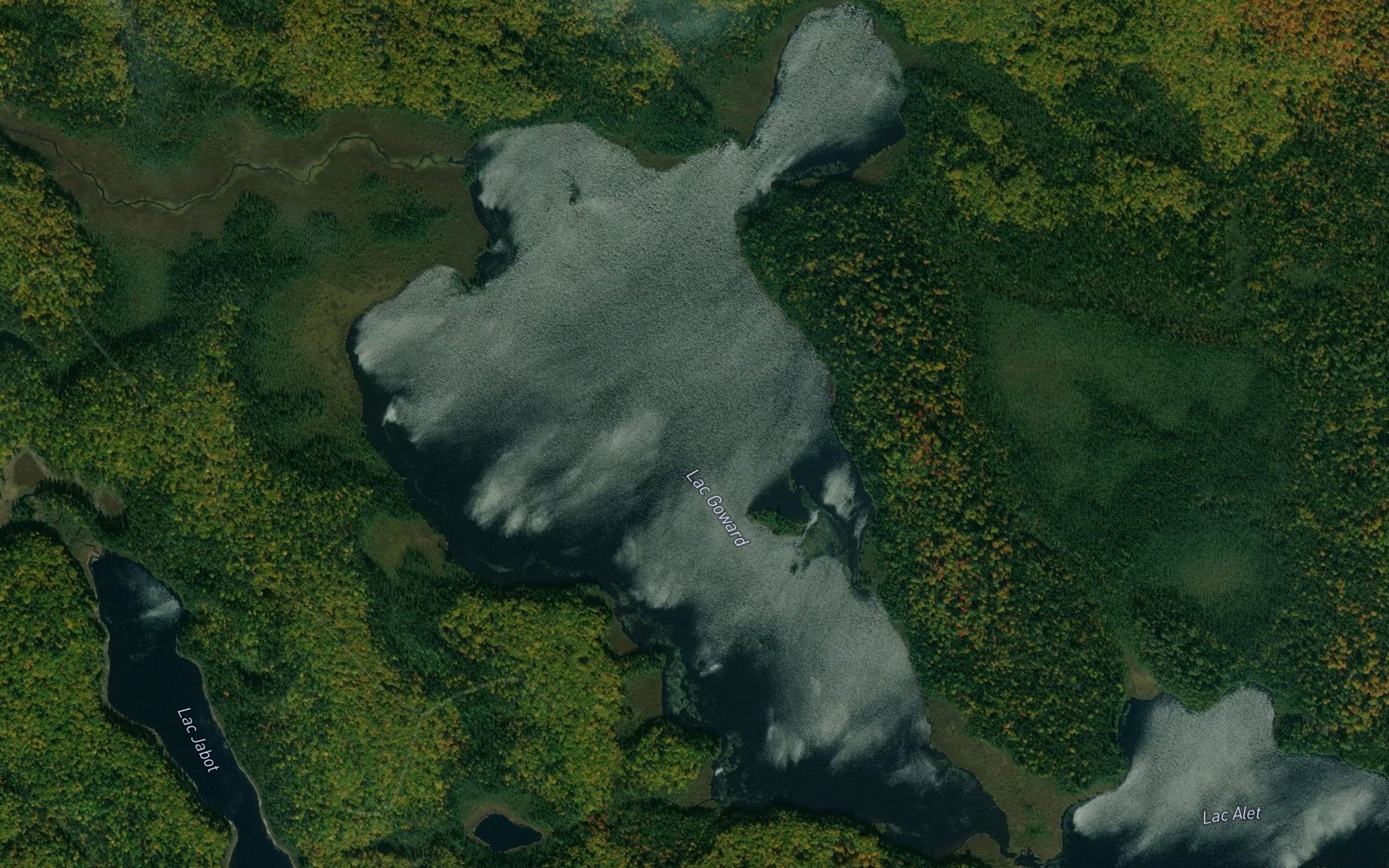 Satellite map of the Lac Goward