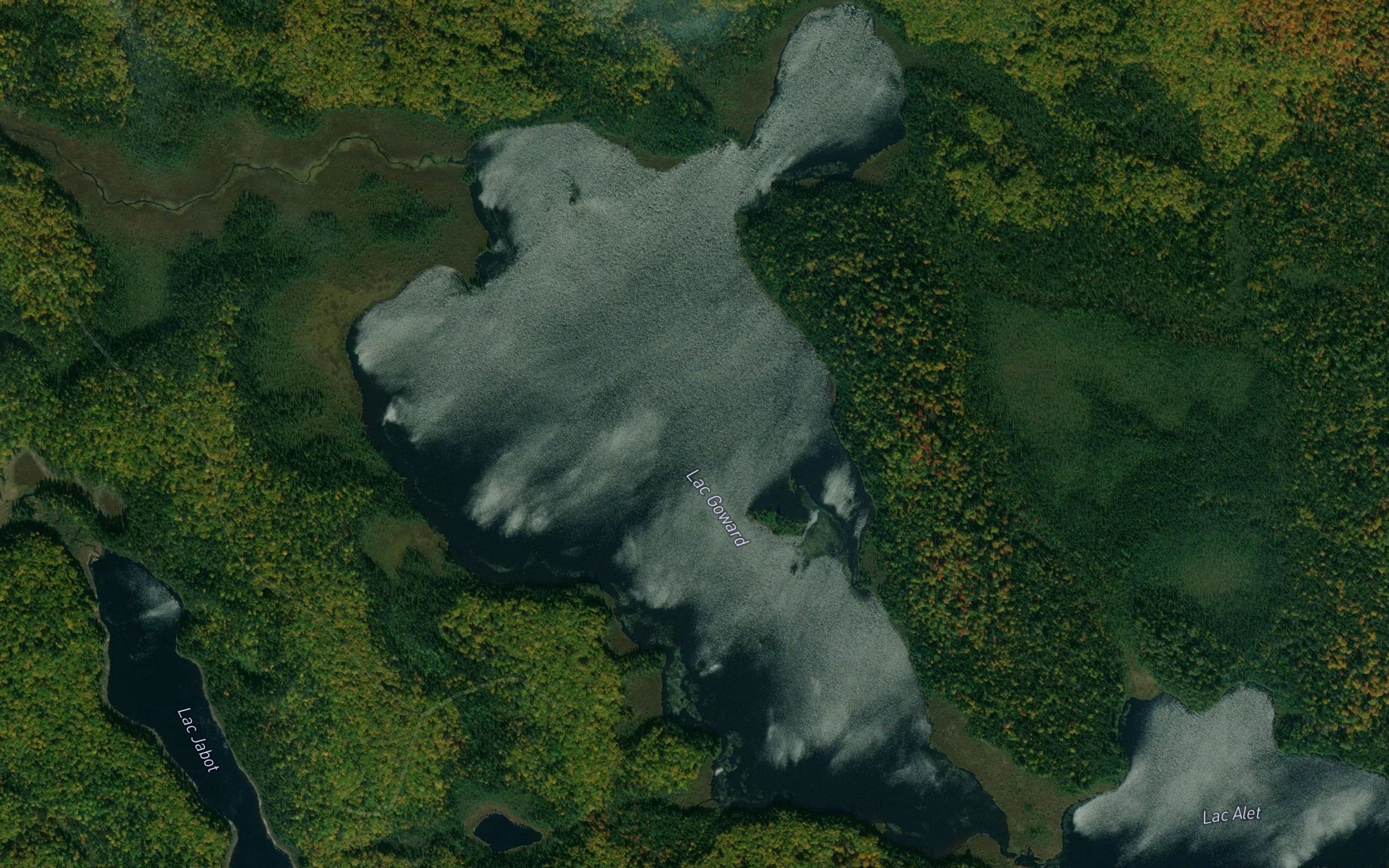 Lac Goward