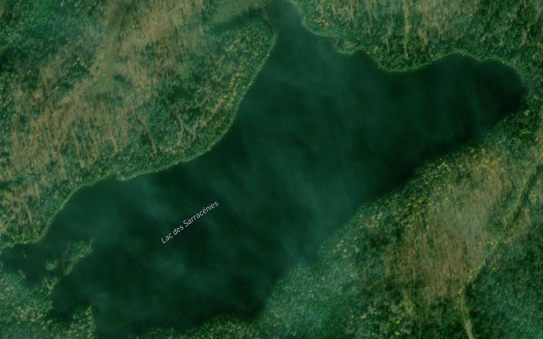 Satellite map of the Lac des Sarracenies