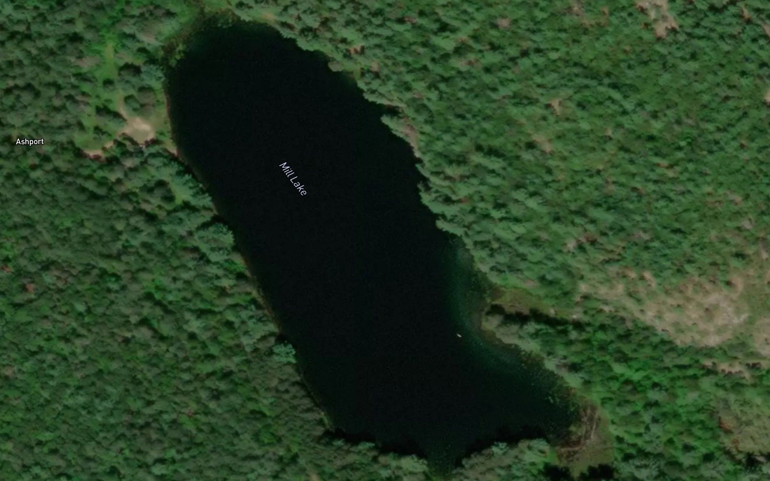 Mill Lake