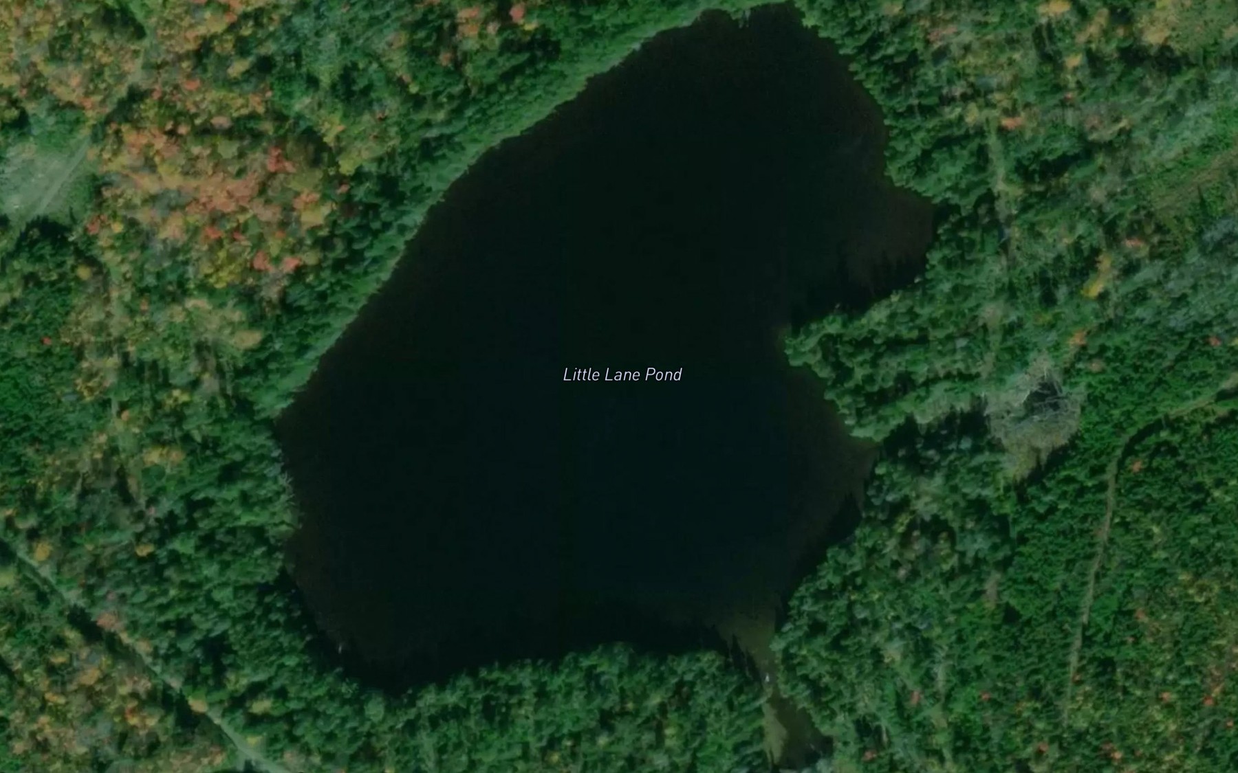 Little Lane Pond Fishing near Linière | Fishbox