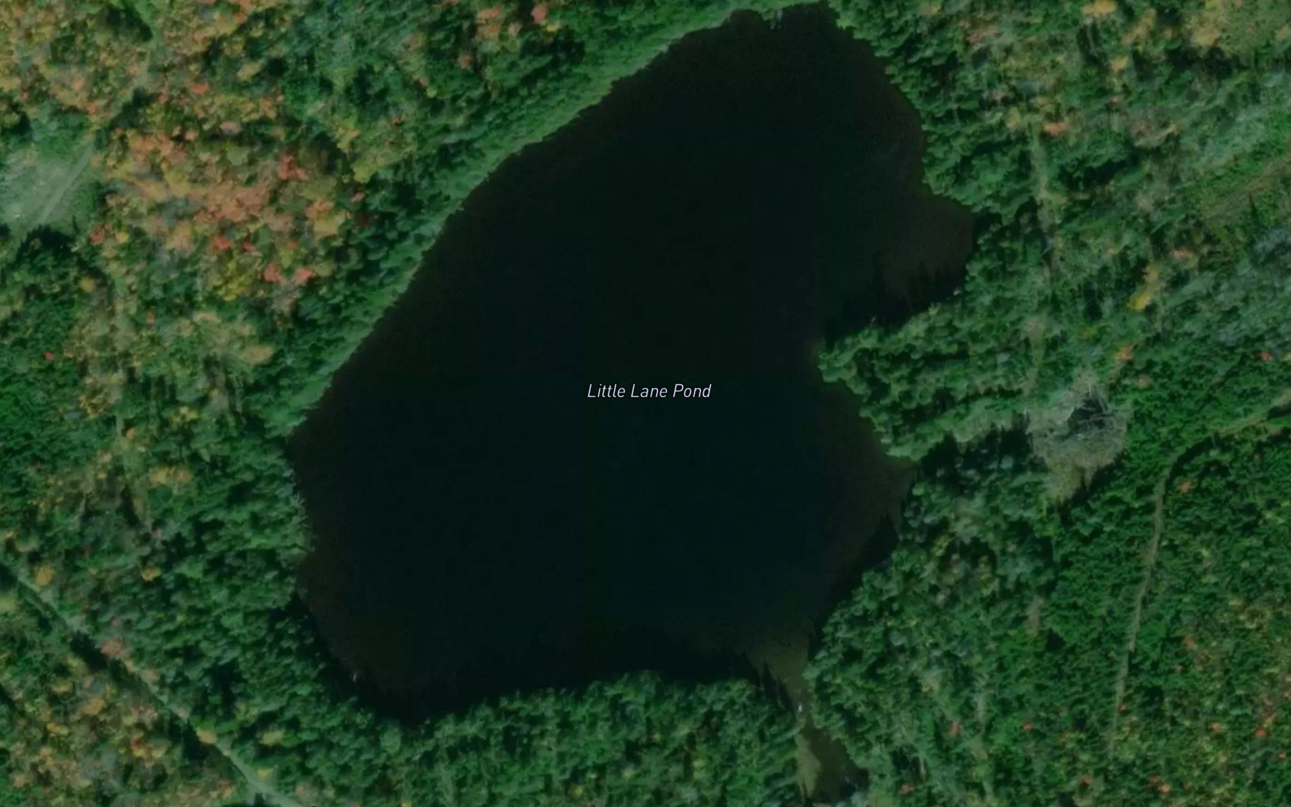 Little Lane Pond