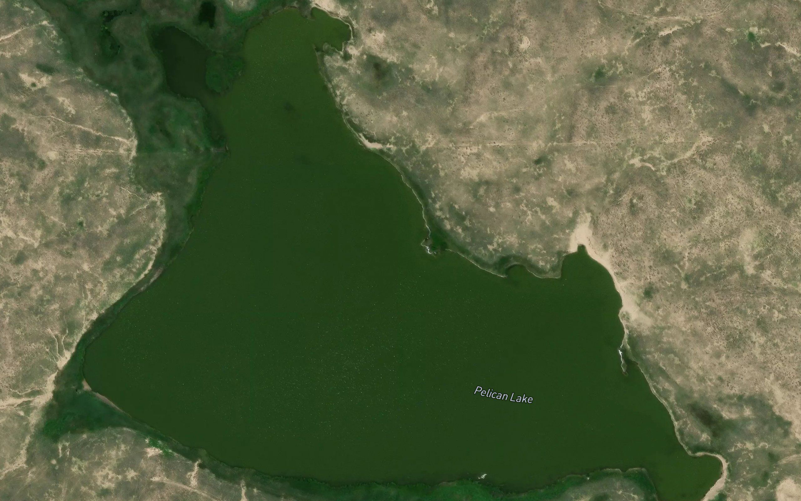 Pelican Lake