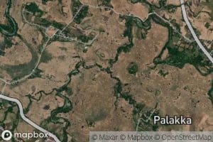 Salo Massaile