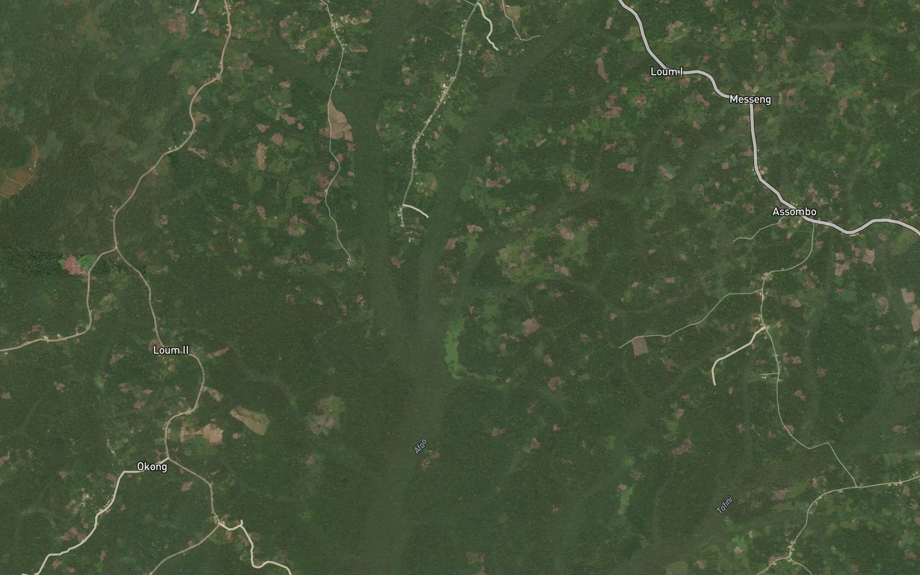 Satellite map of the Nloubou