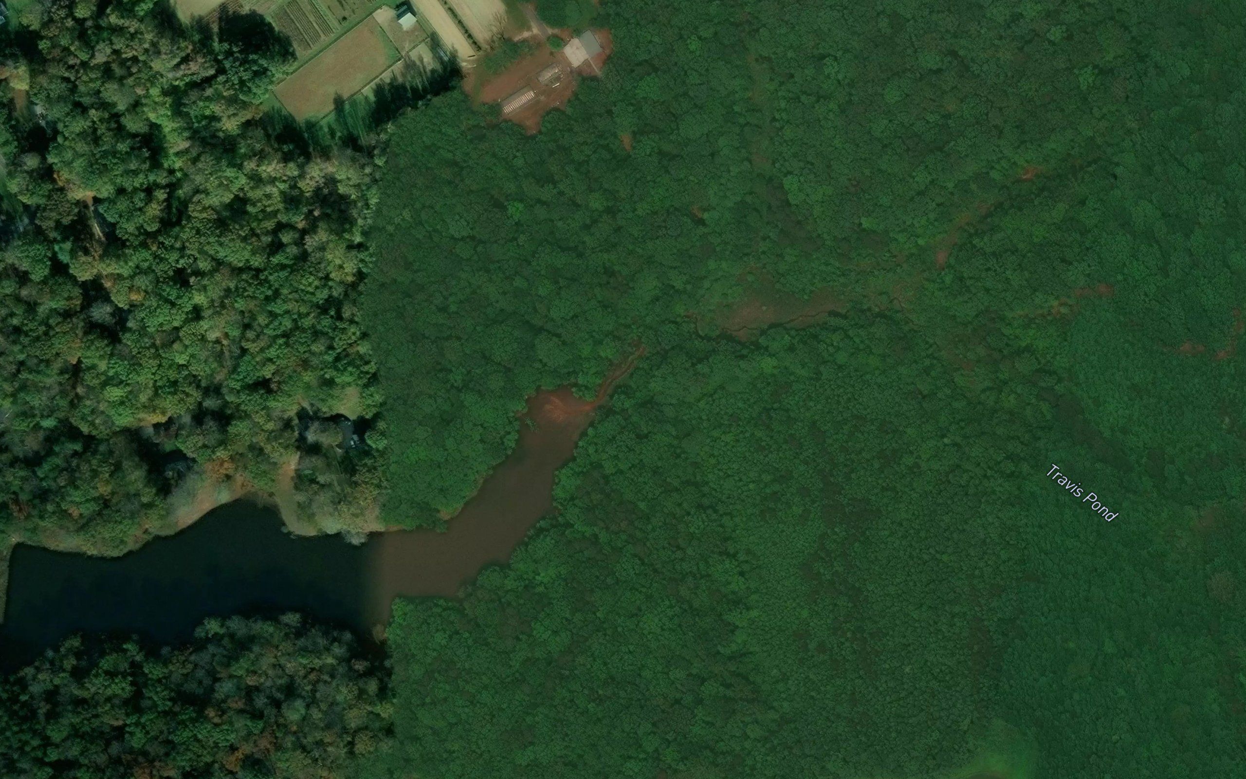 Travis Pond