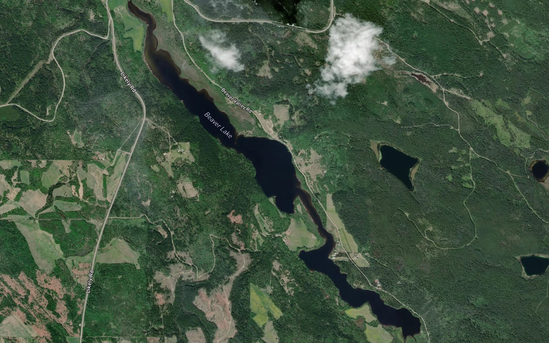 Satellite map of the Beaver Lake