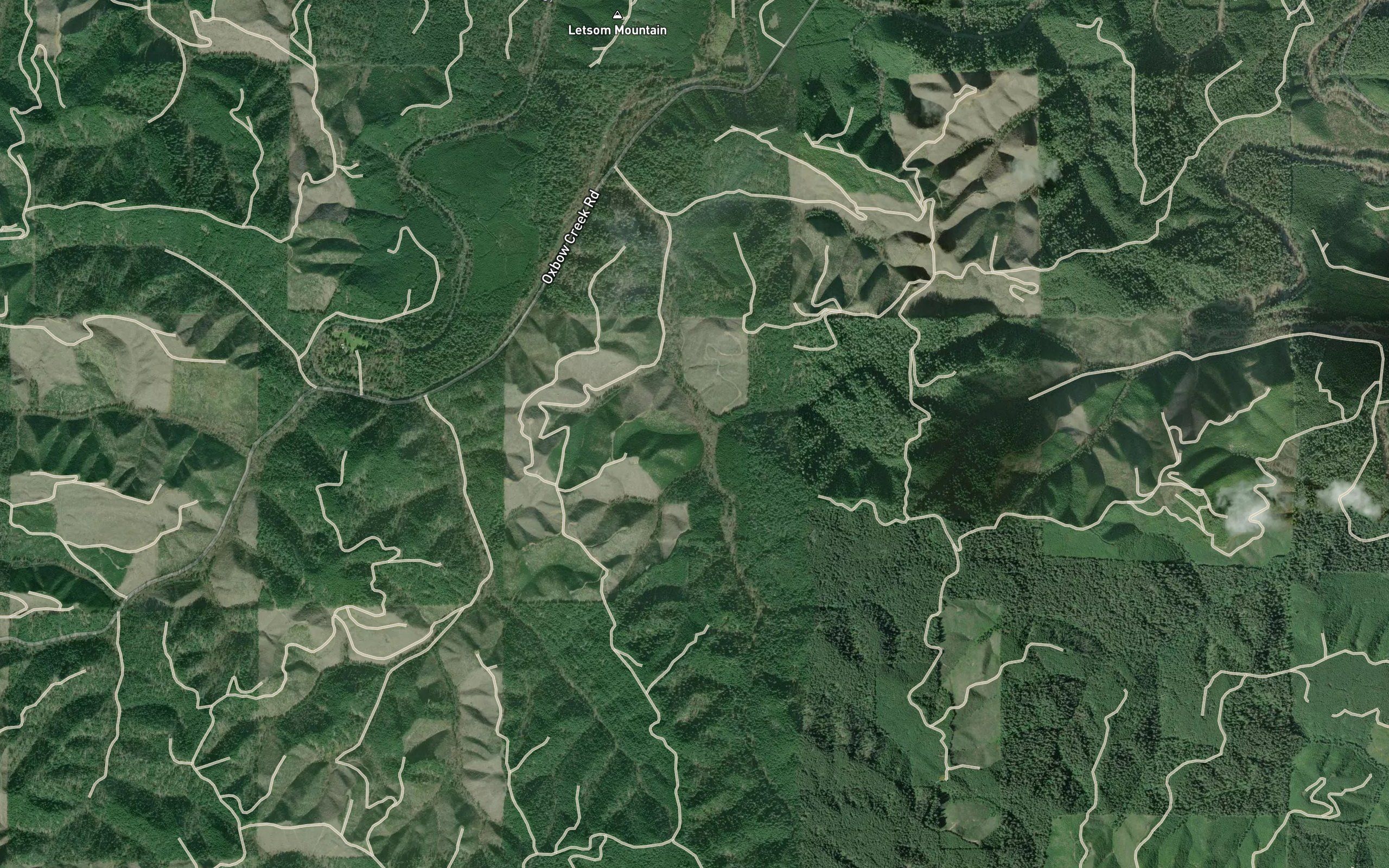 Shitten Creek