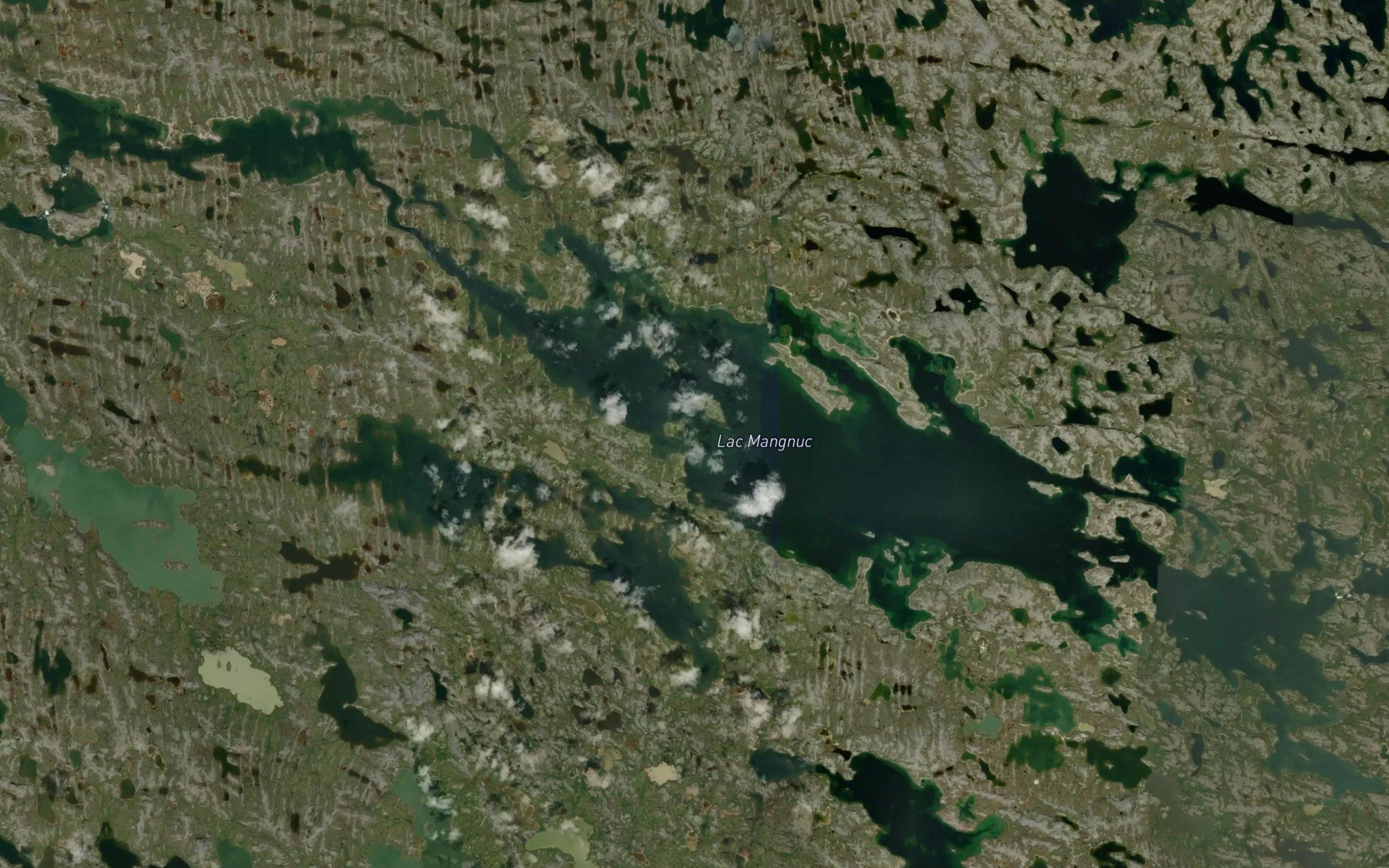 Lac Mangnuc