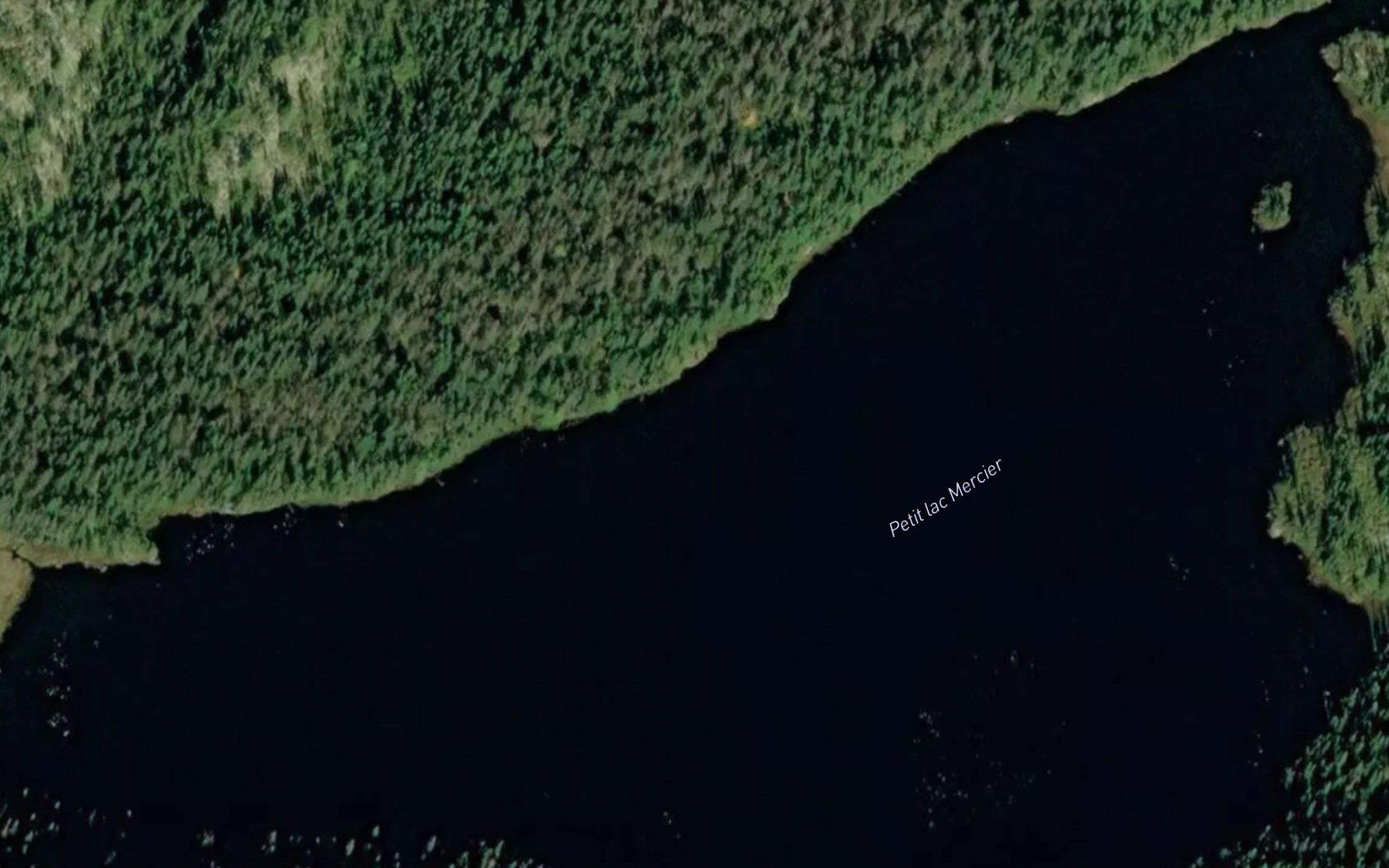 Petit lac Mercier