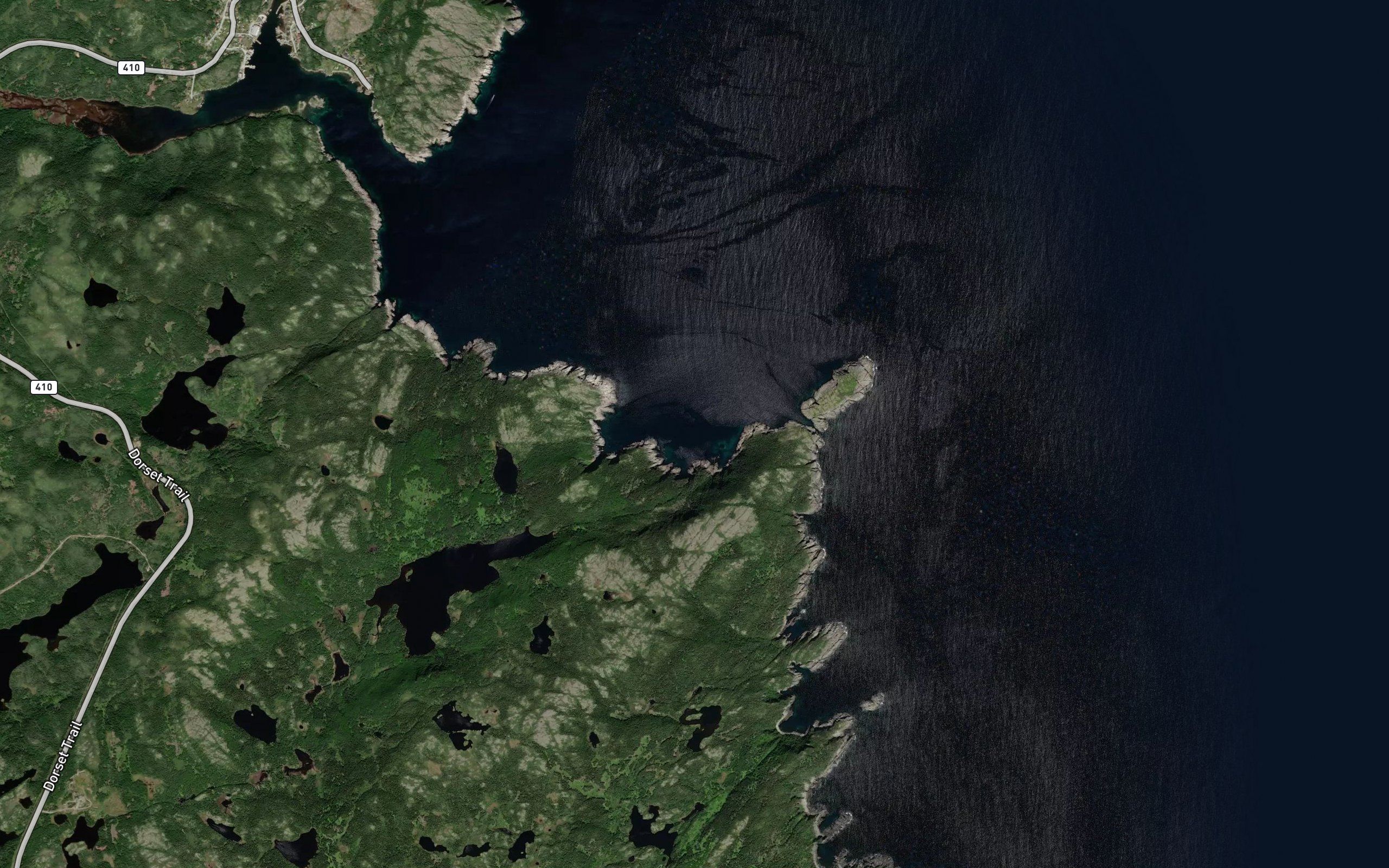 Woody Cove