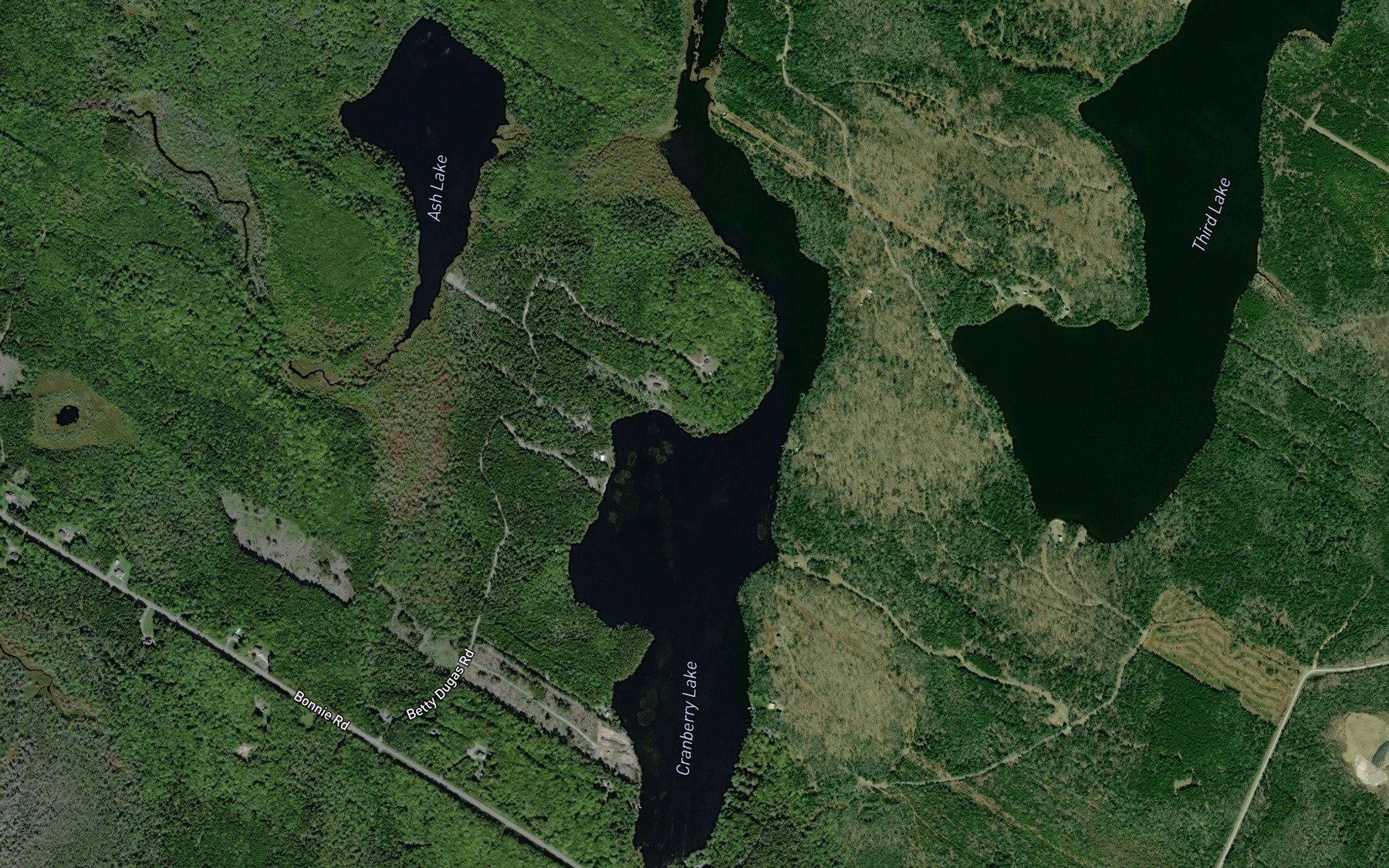 Satellite map of the Cranberry Lake