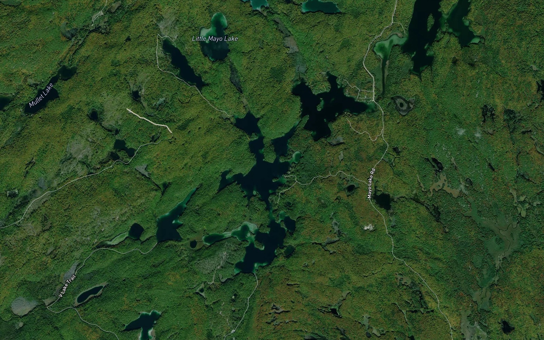 Satellite map of the Mayo Lake