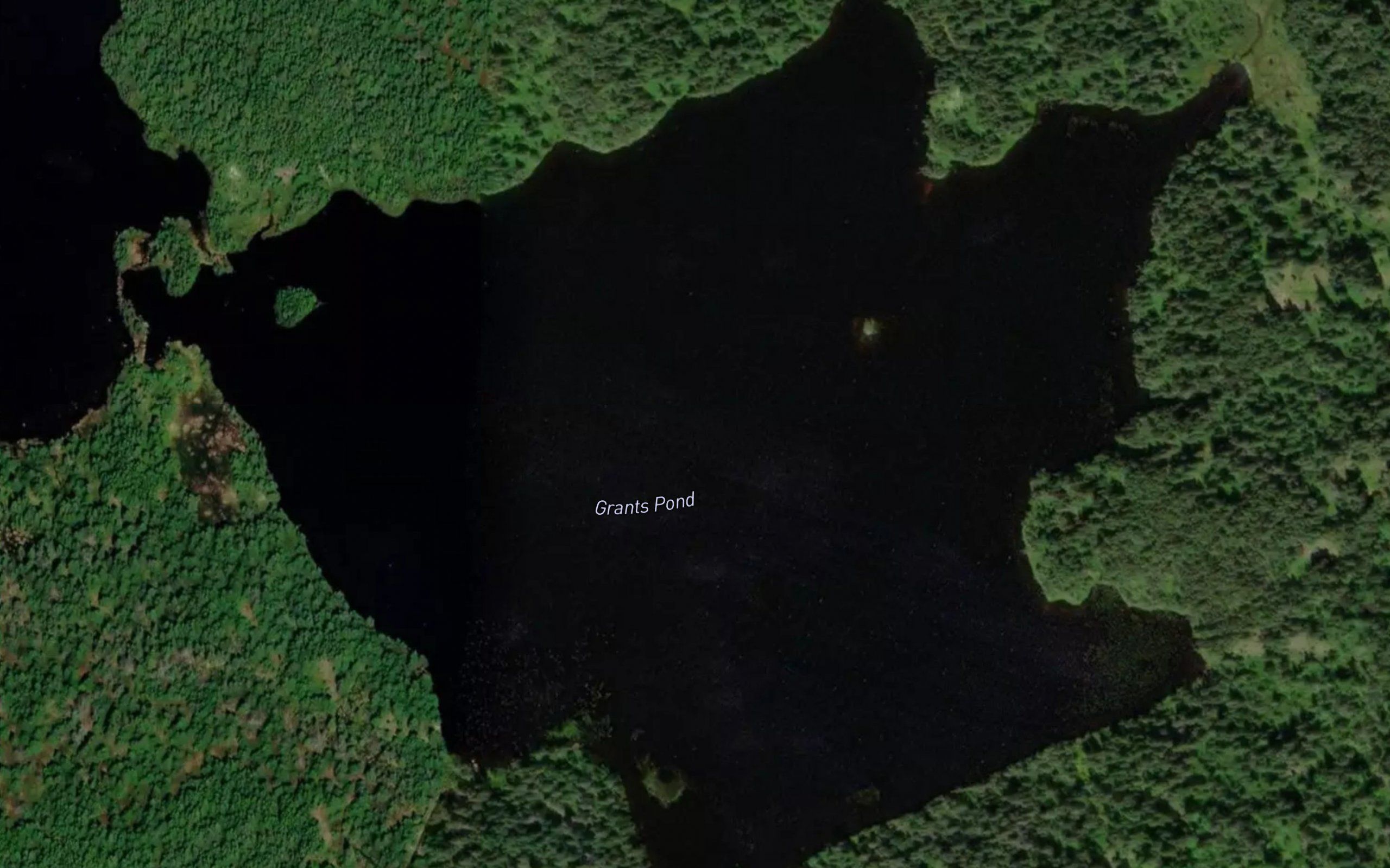 Grants Pond