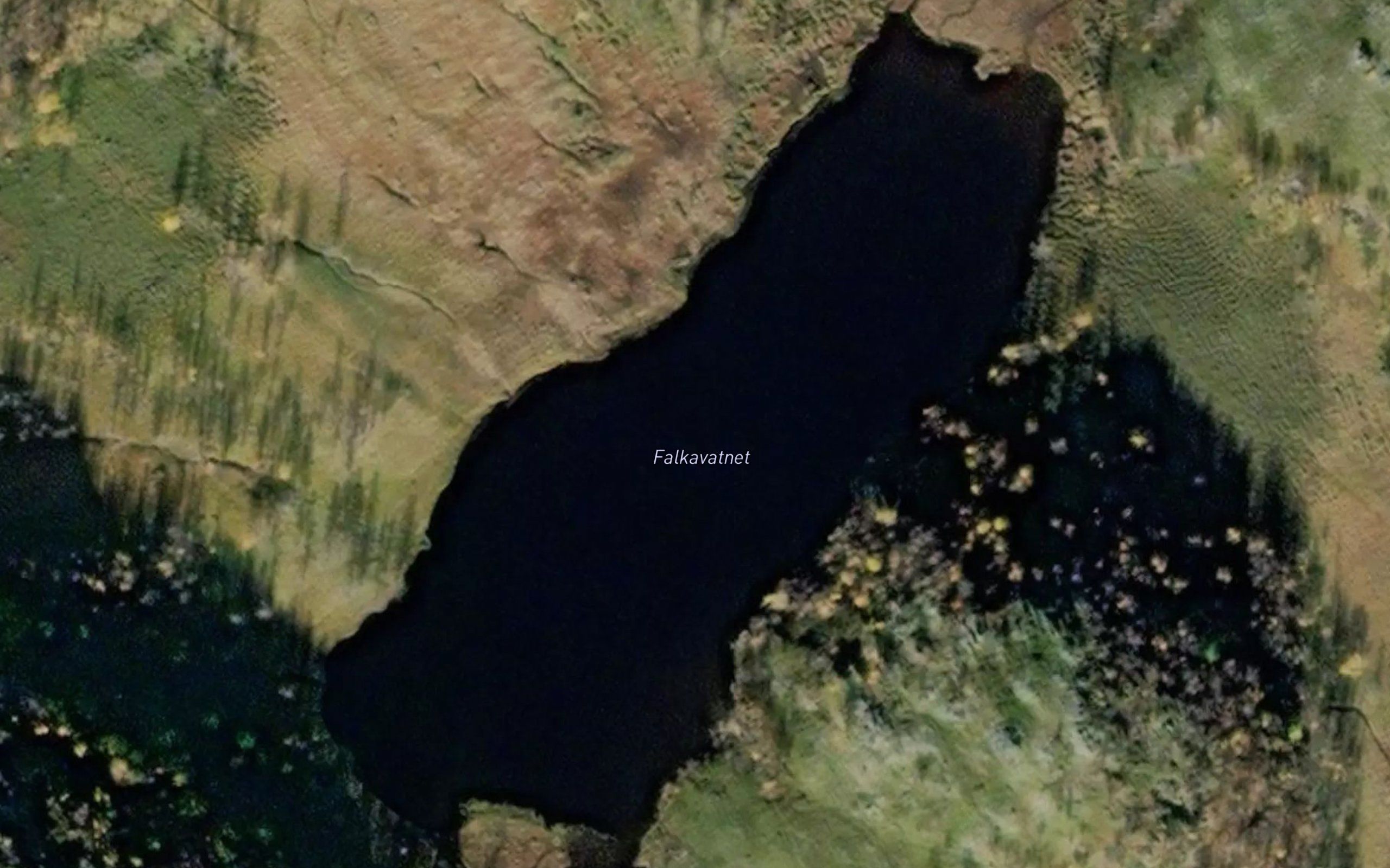 Falkavatnet