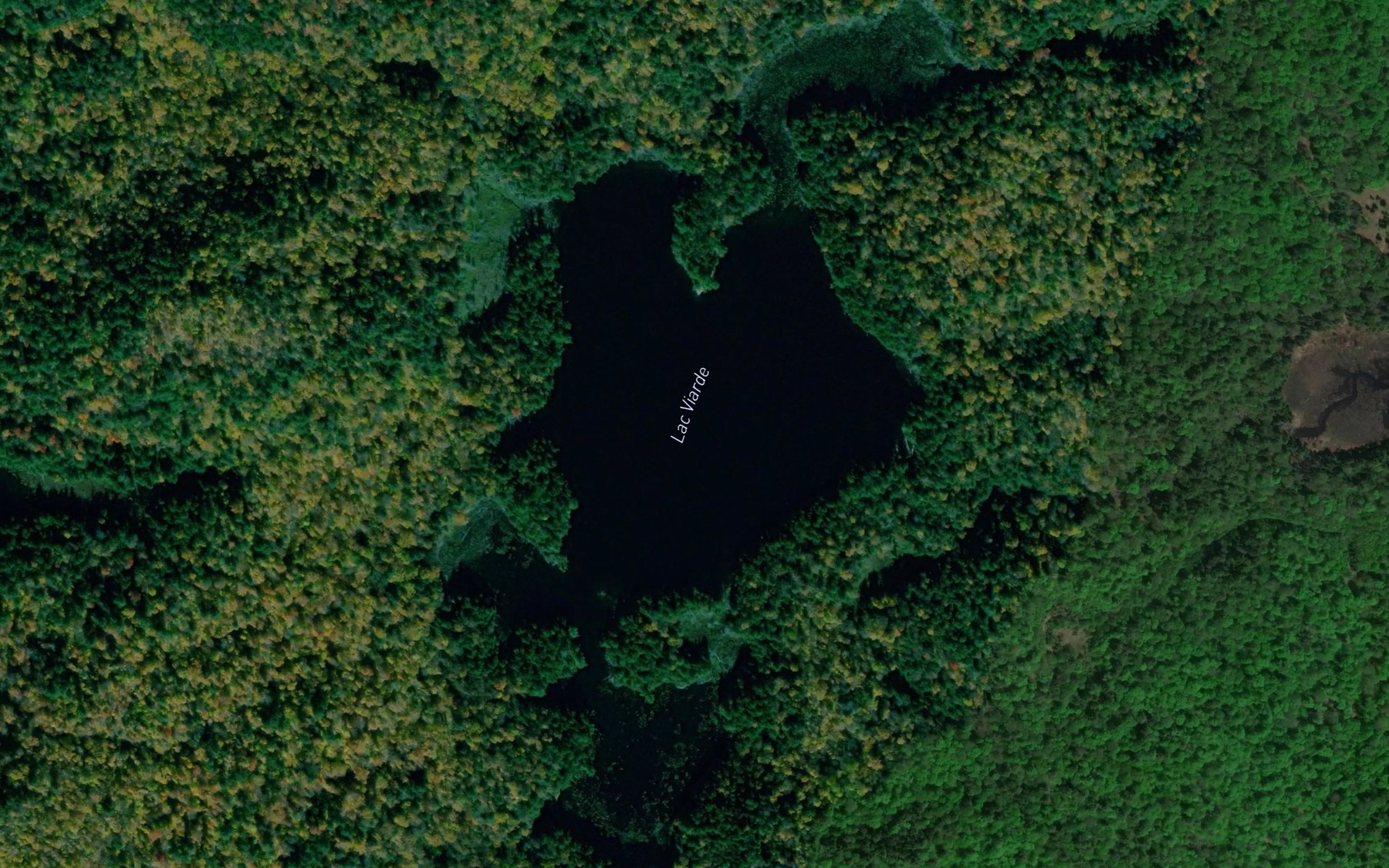 Satellite map of the Lac Viarde