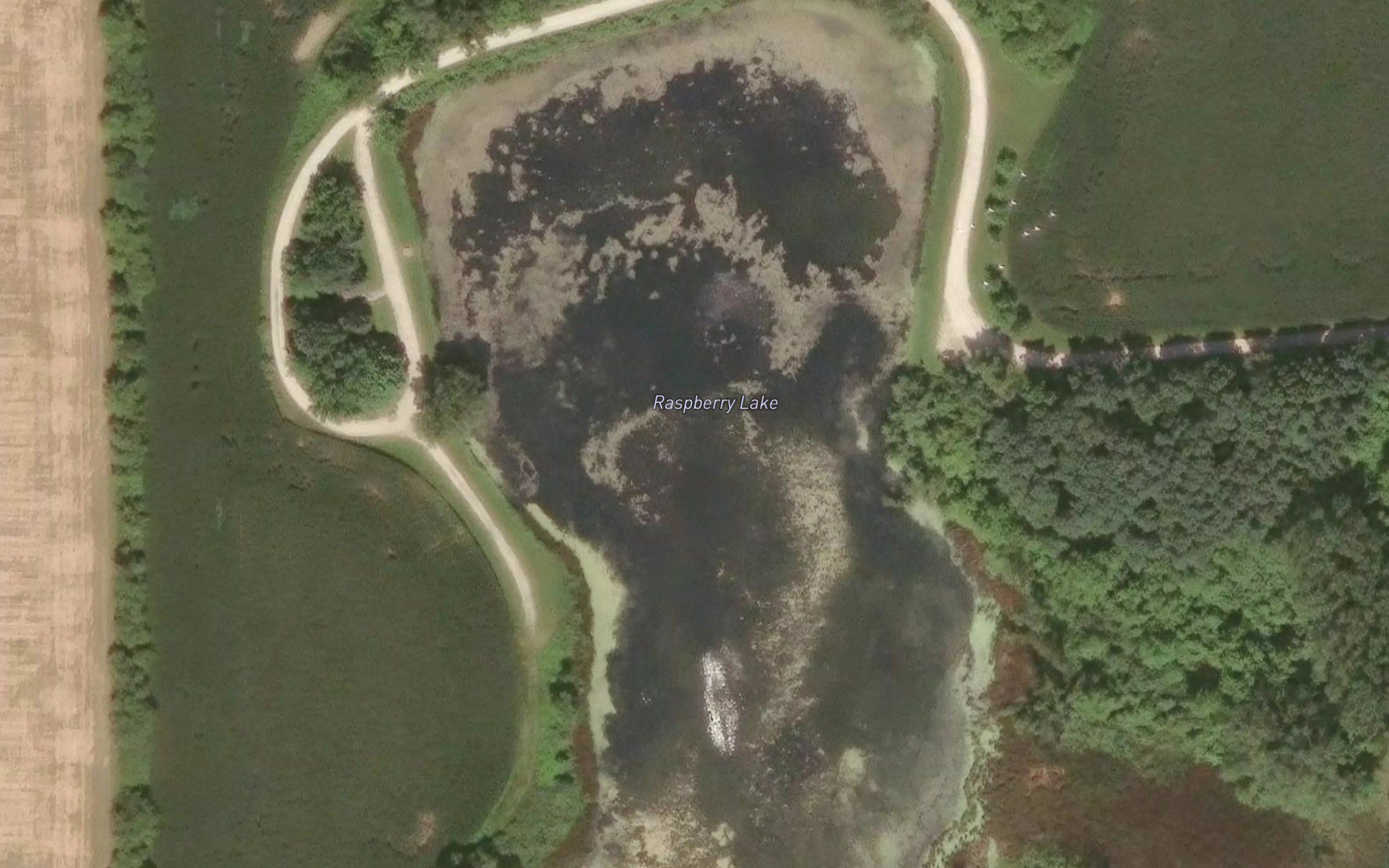 Raspberry Lake