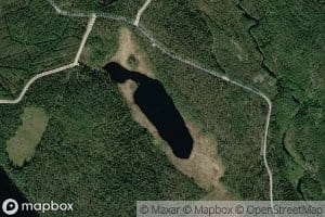 Valkealampi