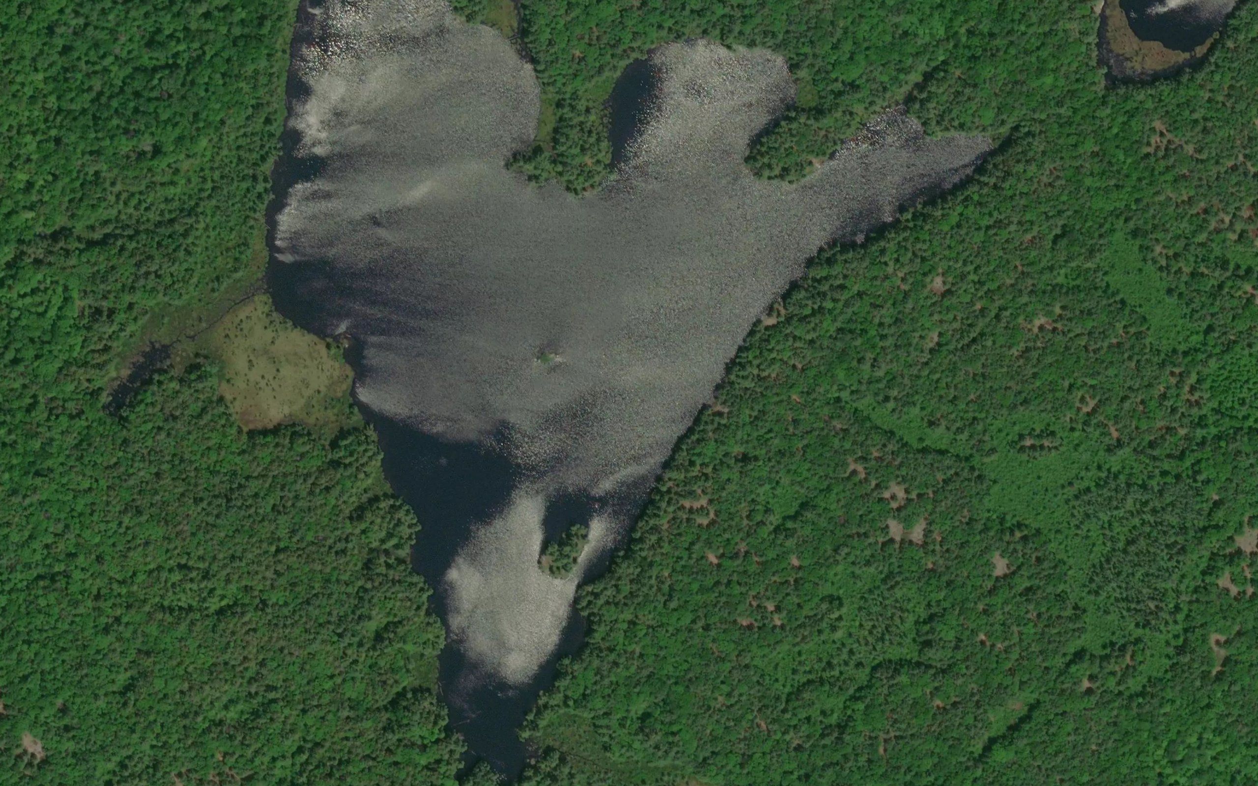 Wilcox Lake