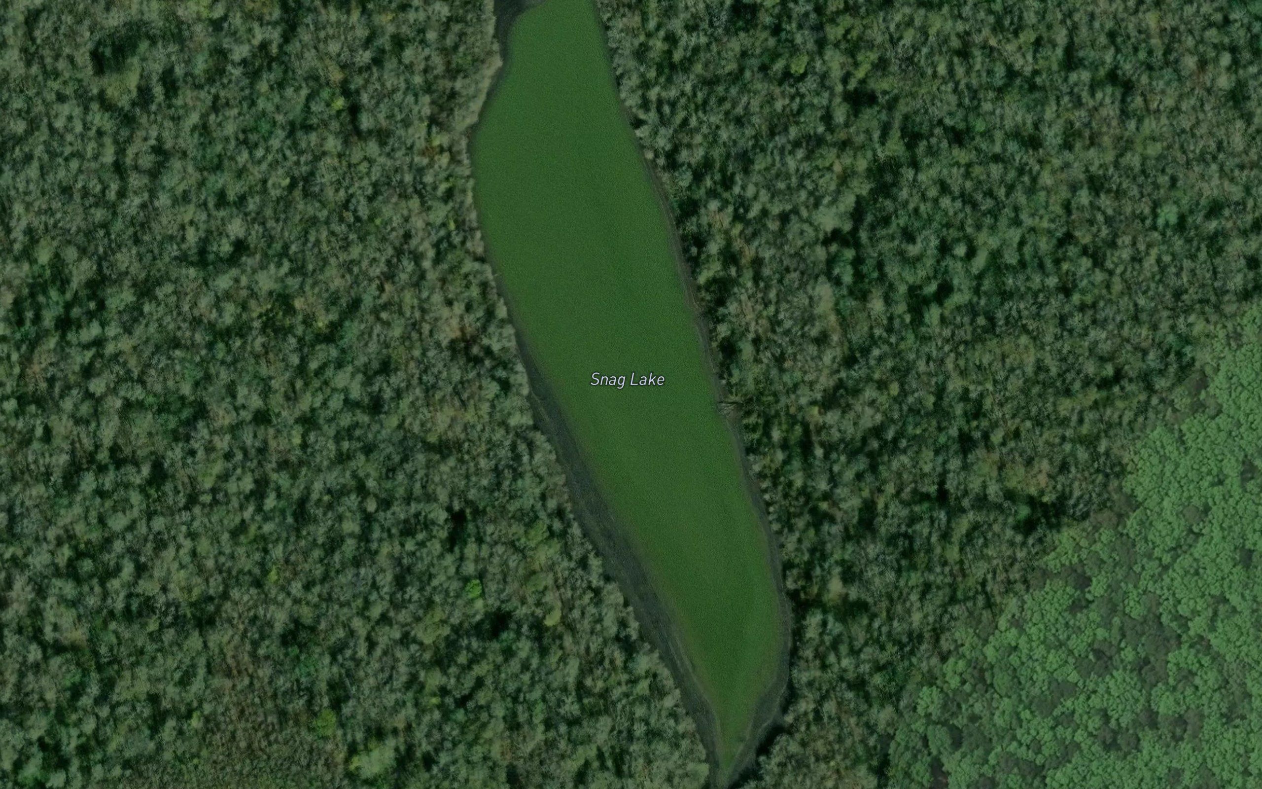 Snag Lake