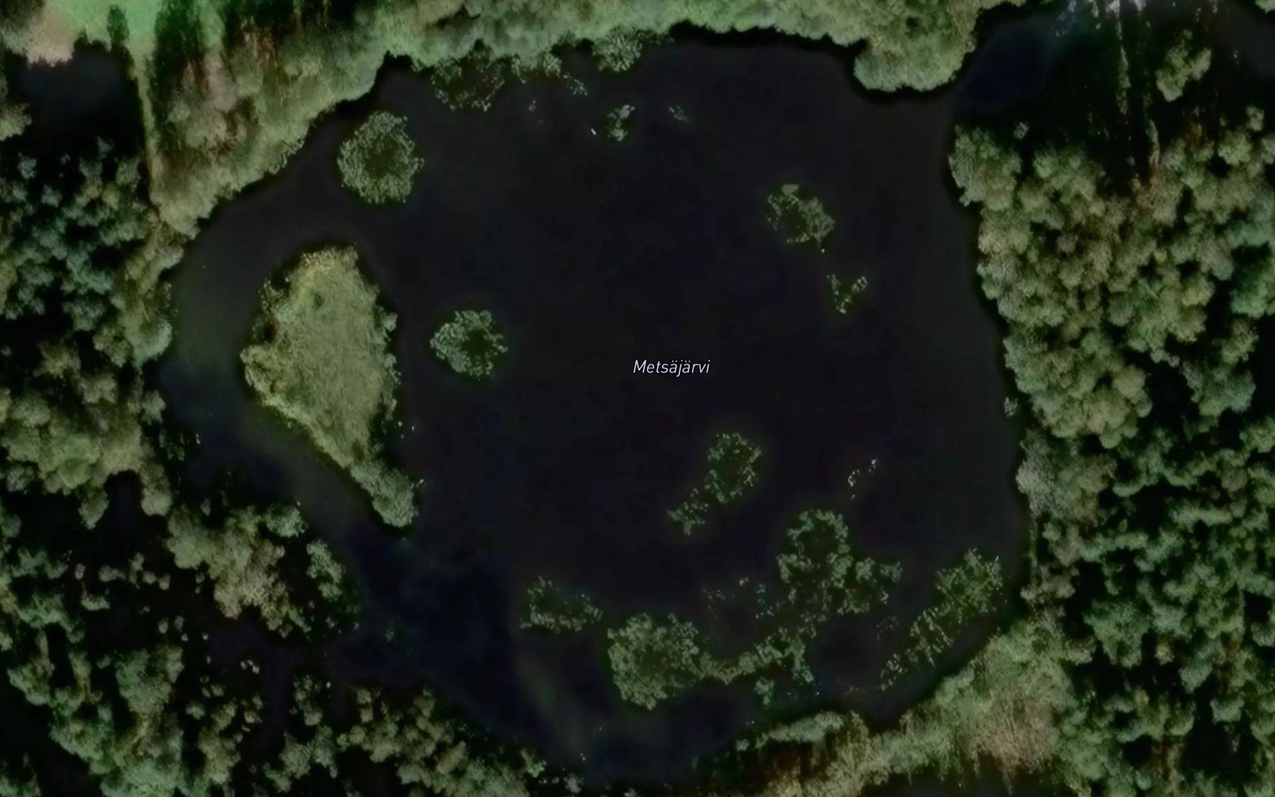 Metsajarvi