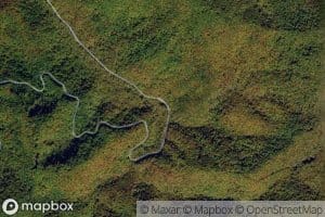 Split Whiteoak Branch