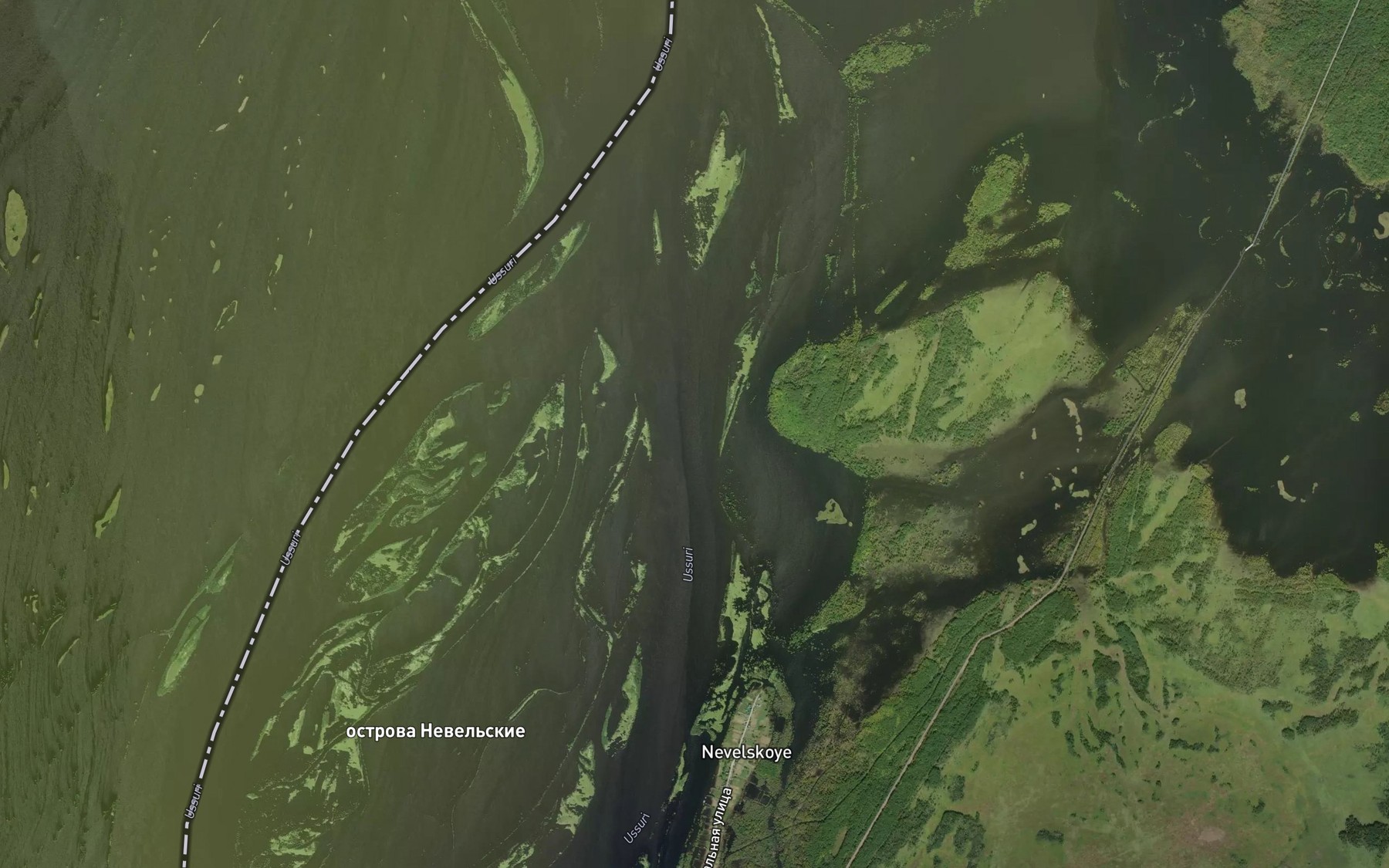 Satellite map of the Protoka Nevel'skaya