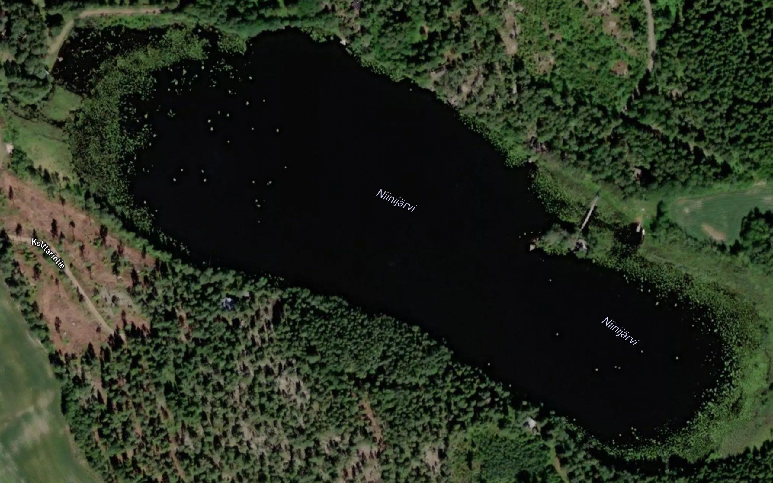 Niinijarvi