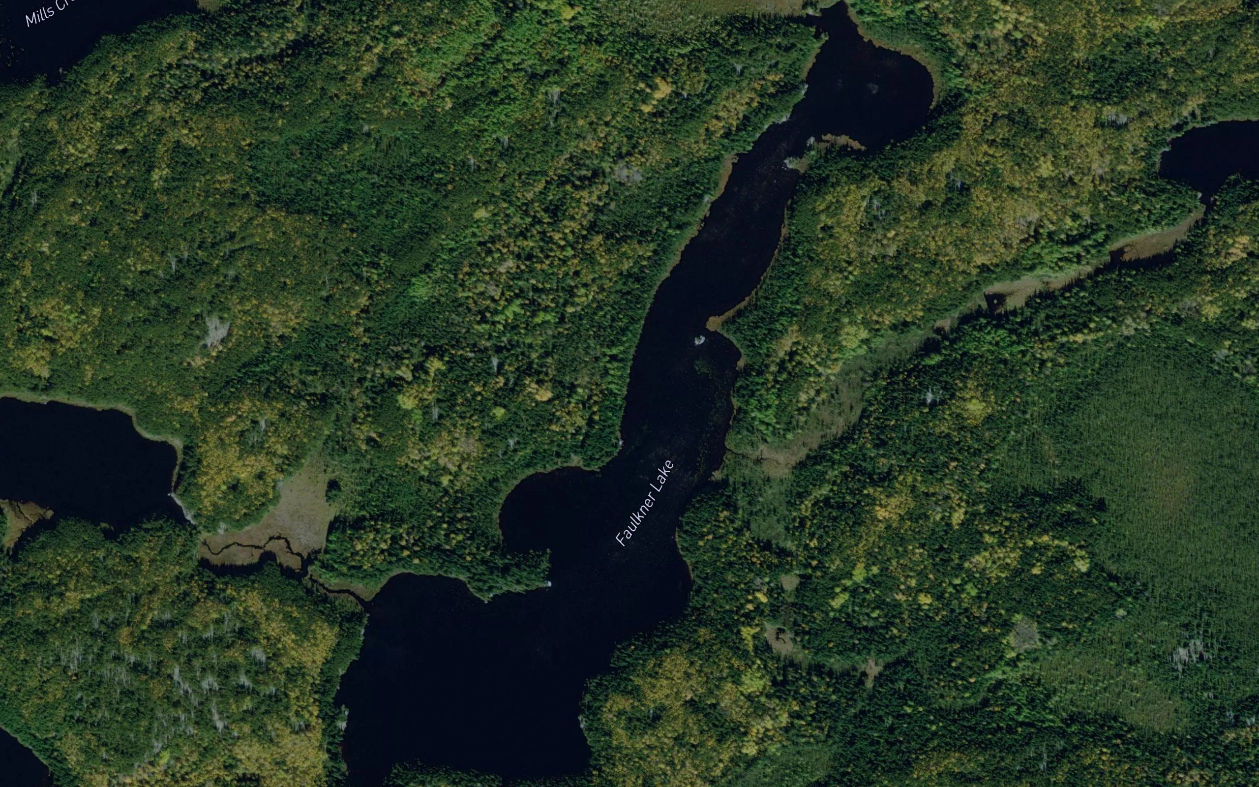 Faulkner Lake