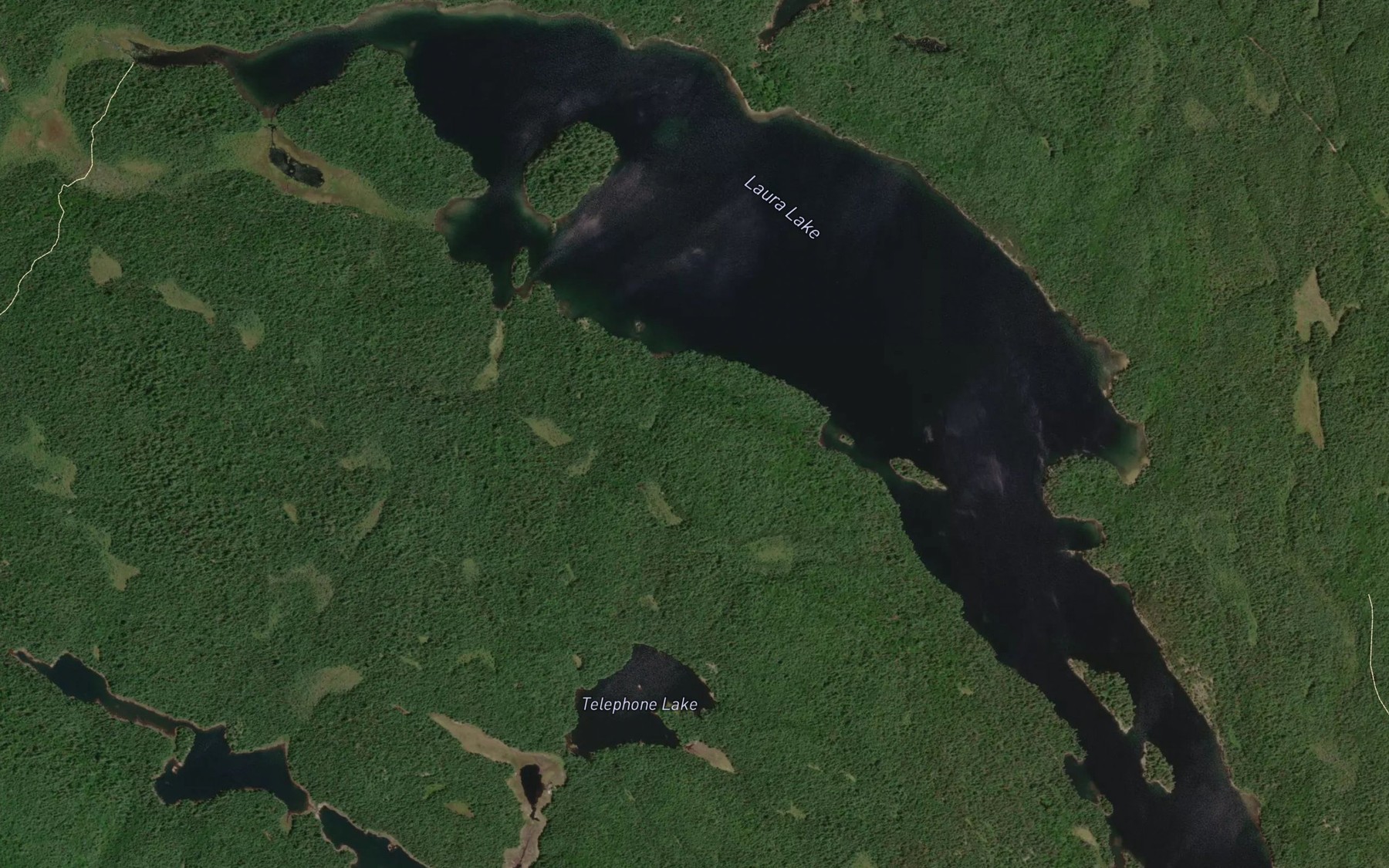 Satellite map of the Laura Lake