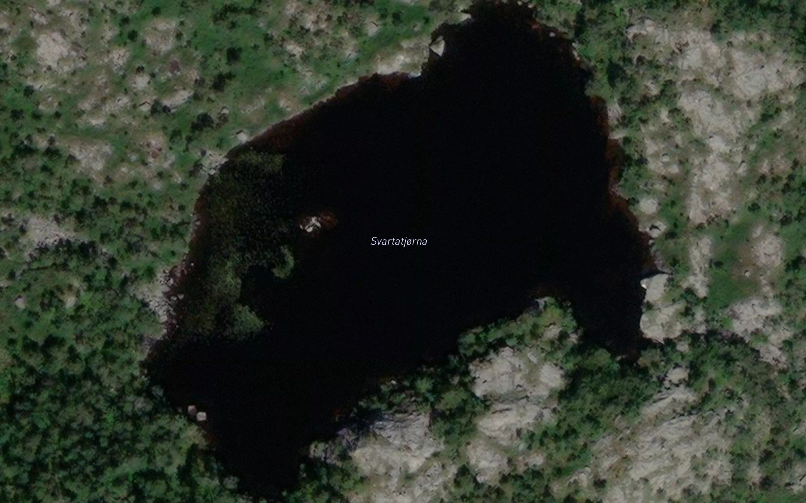 Svartatjorna