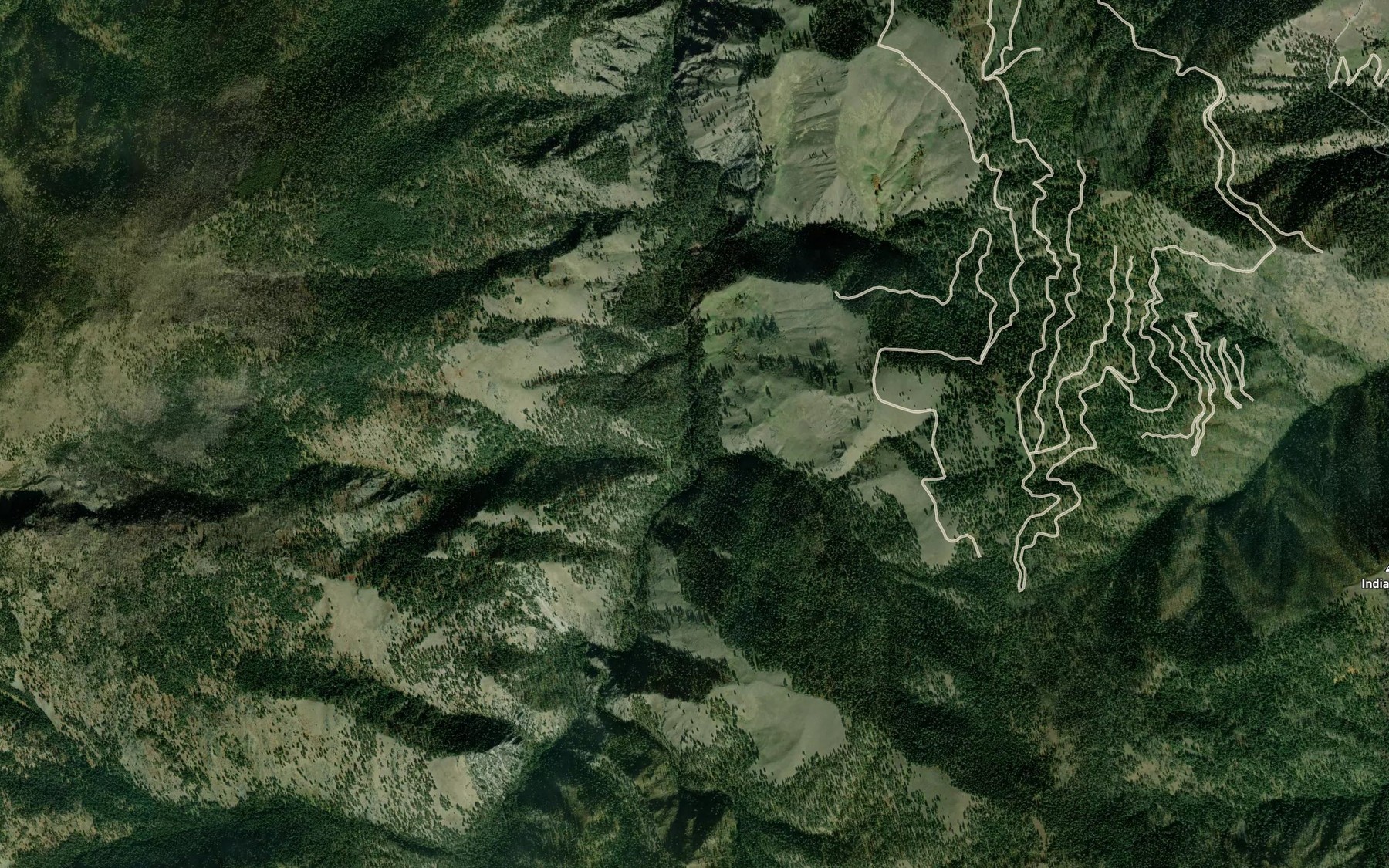Satellite map of the Cougar Creek