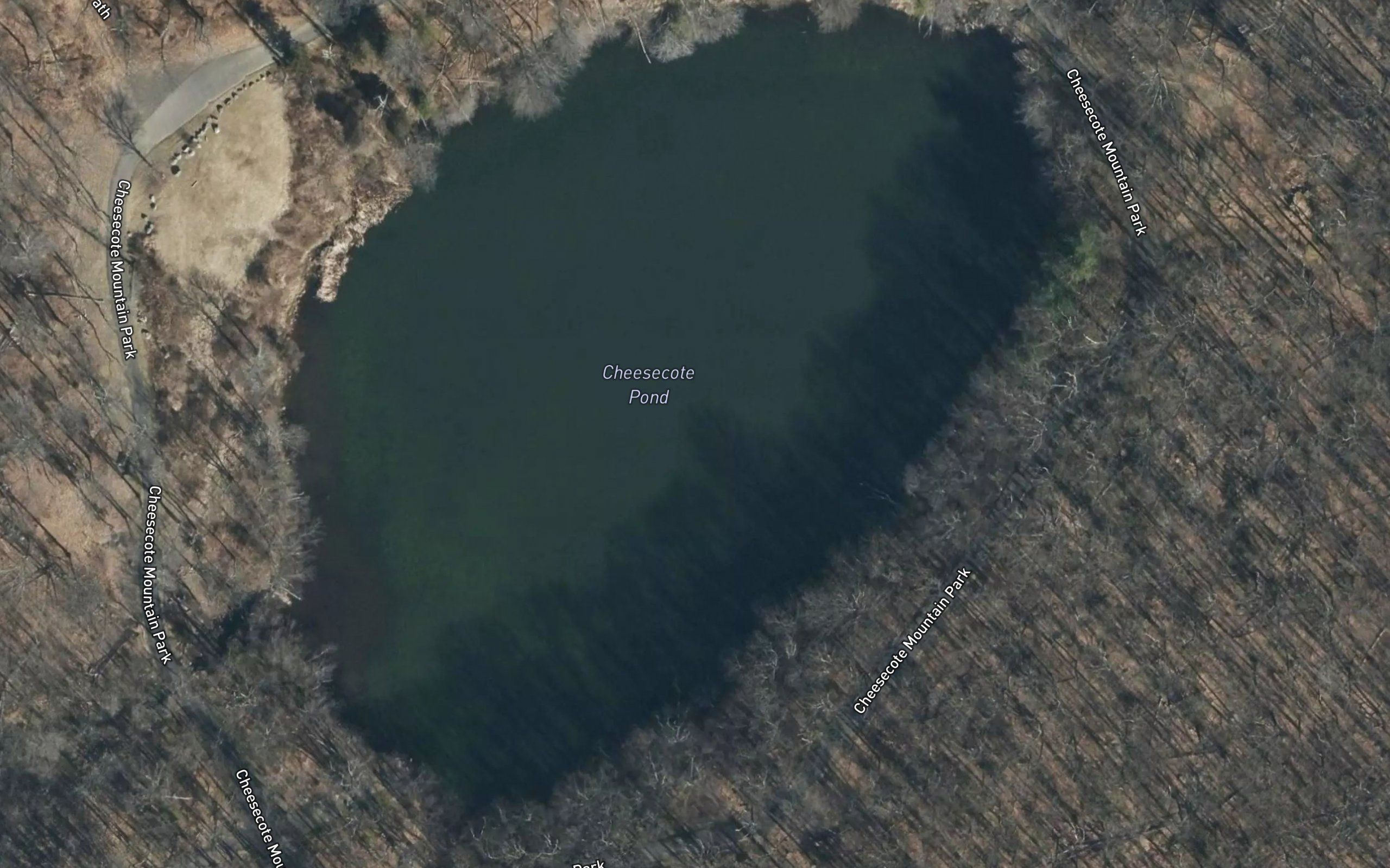 Cheesecote Pond