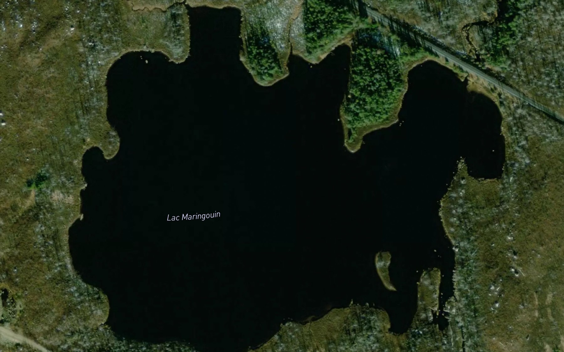 Satellite map of the Lac Maringouin