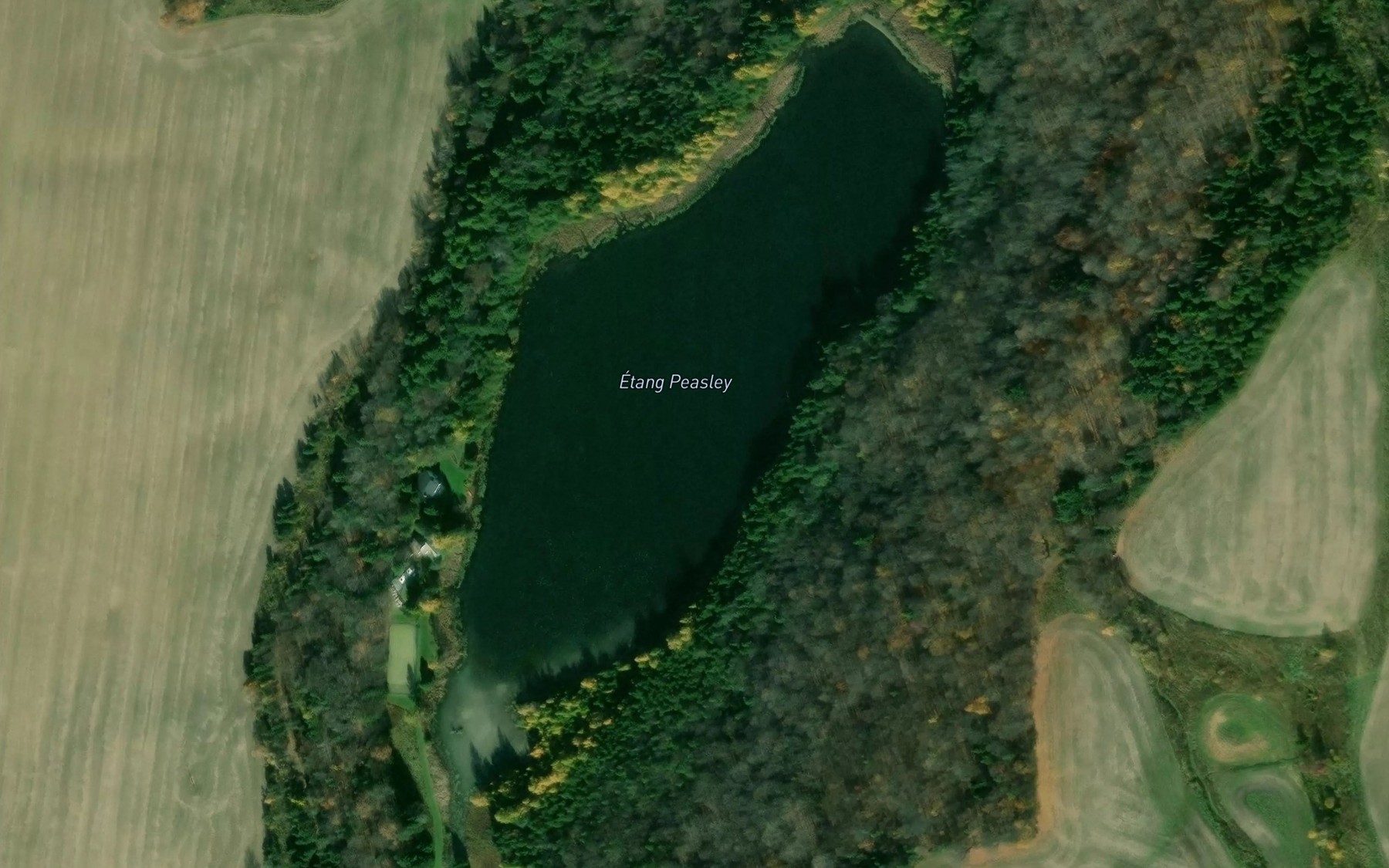 Satellite map of the Etang Peasley