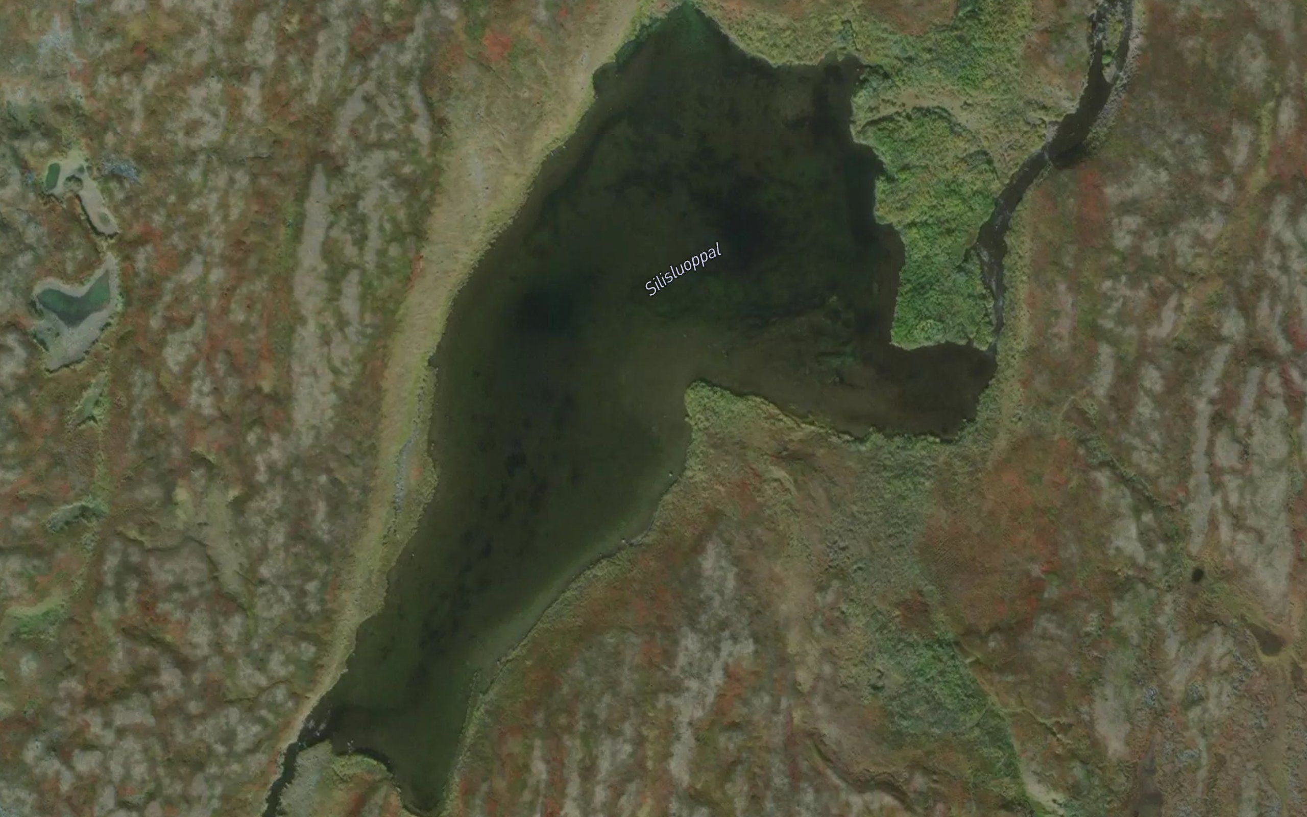 Silisluobbal