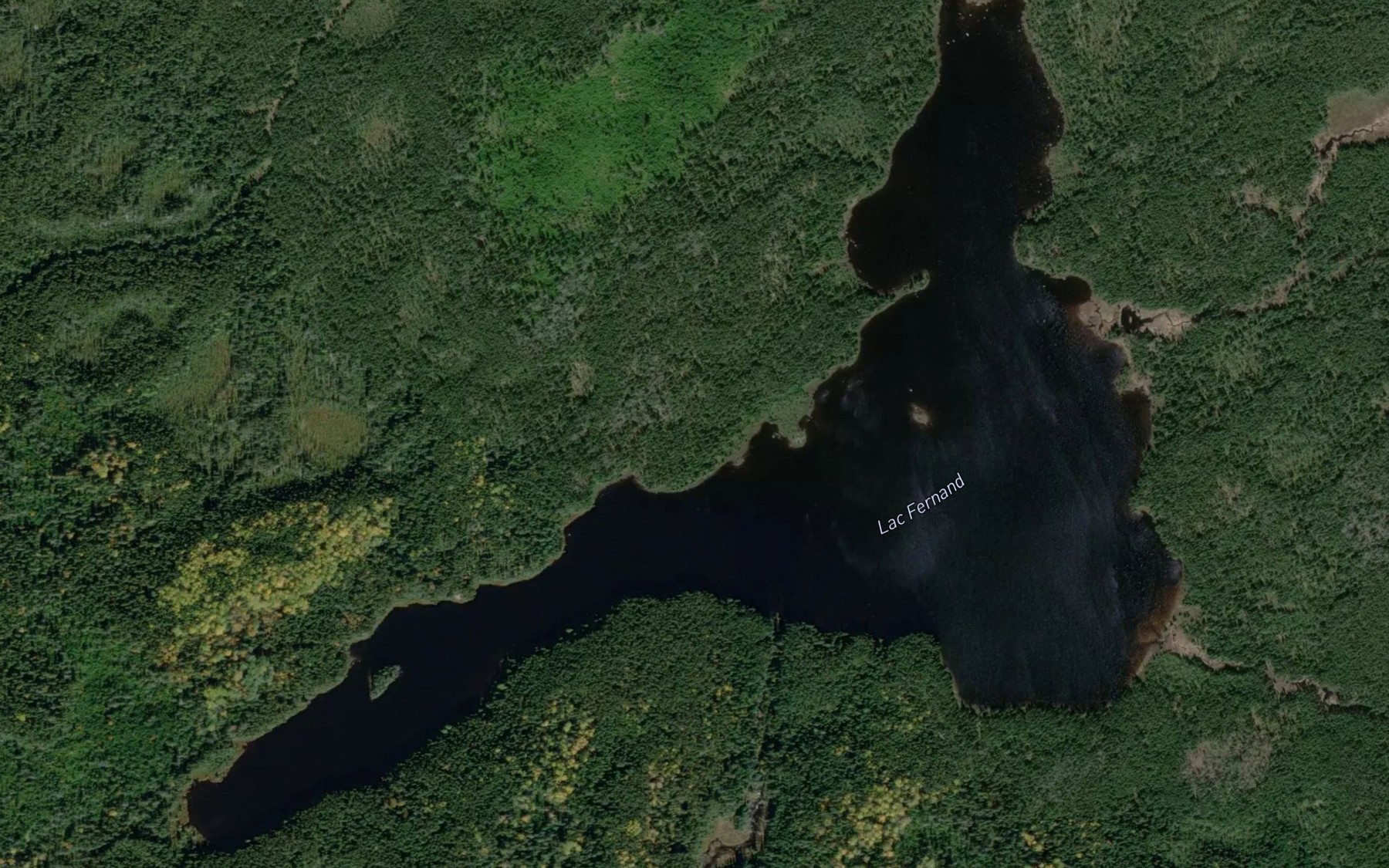 Satellite map of the Lac Fernand