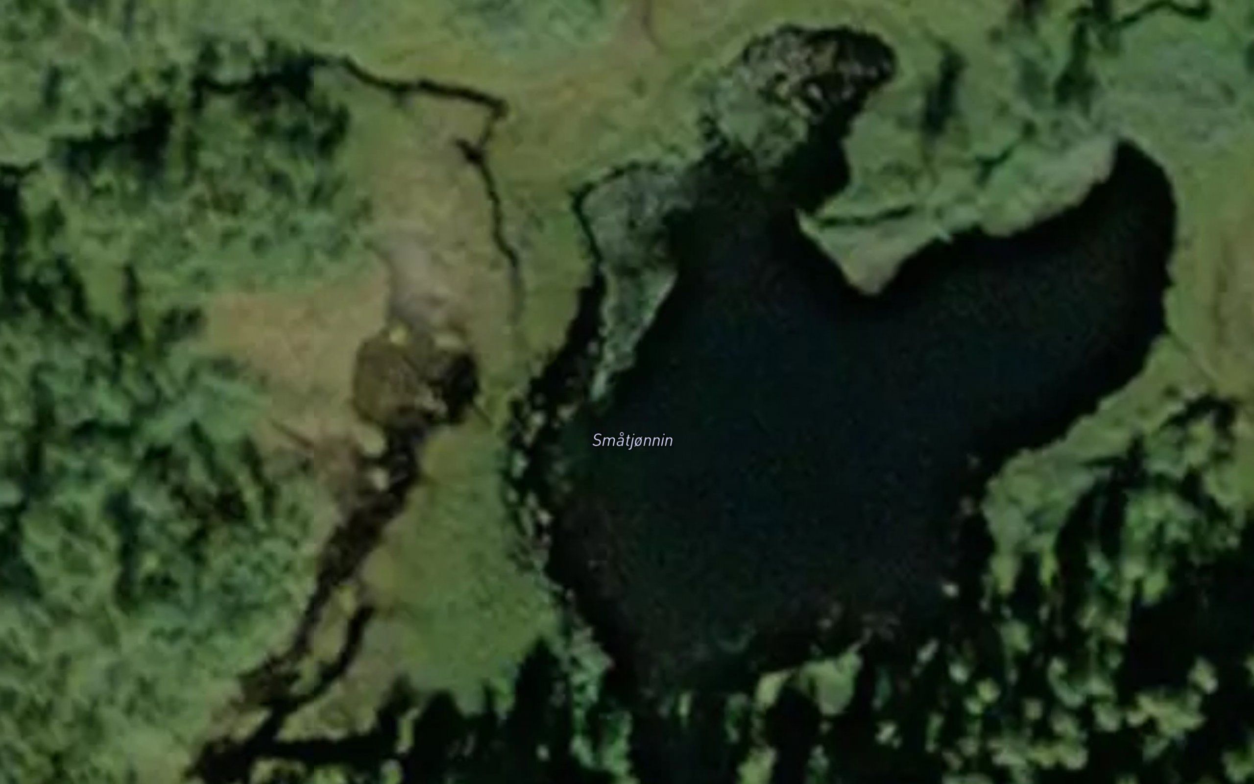 Smatjonnin