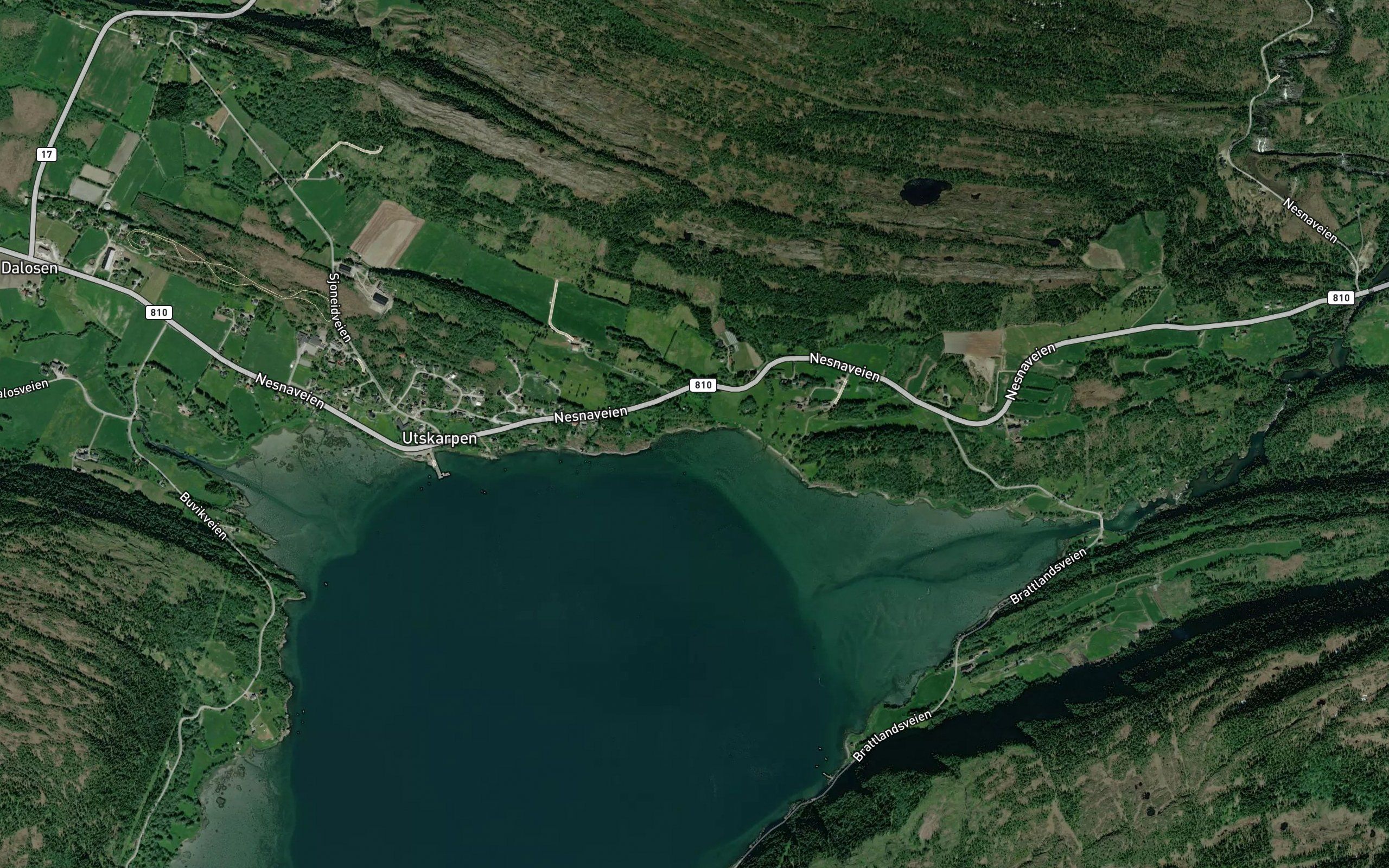 Naustvika