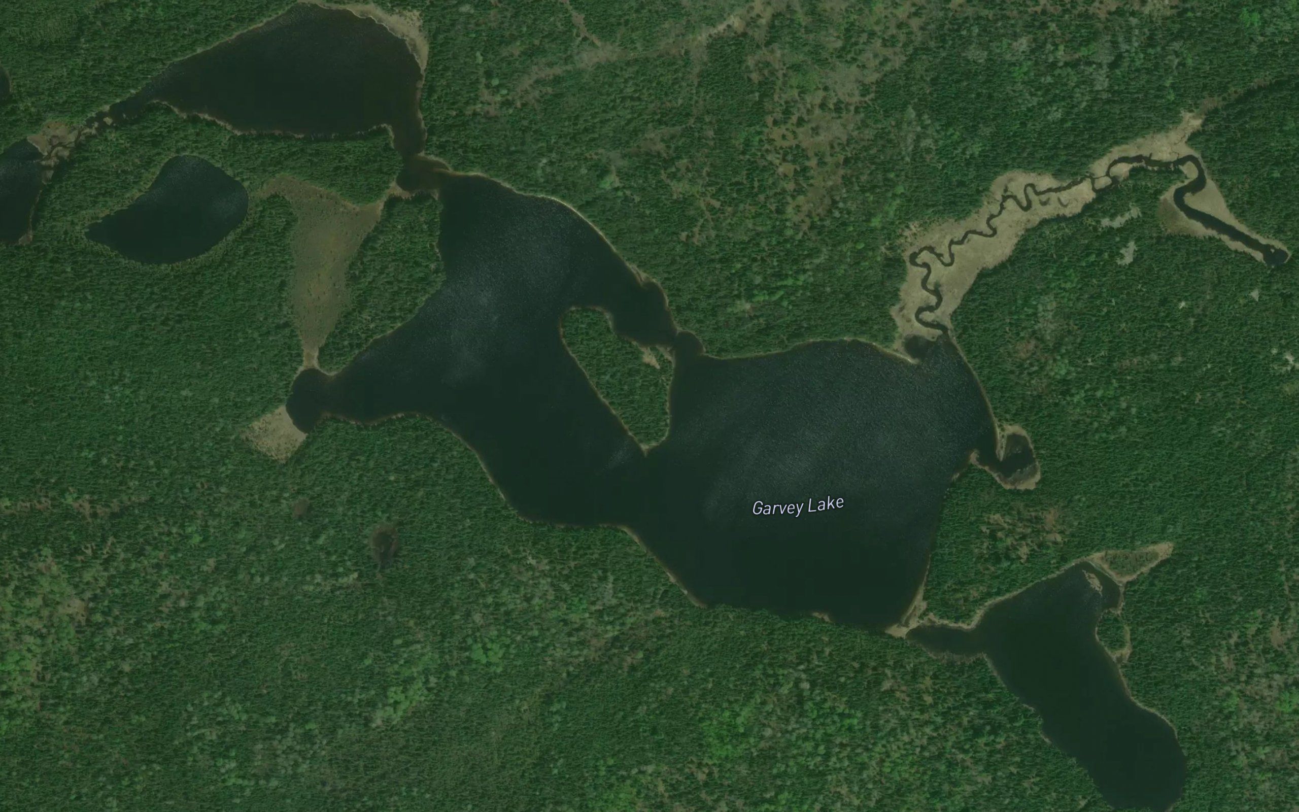 Garvey Lake