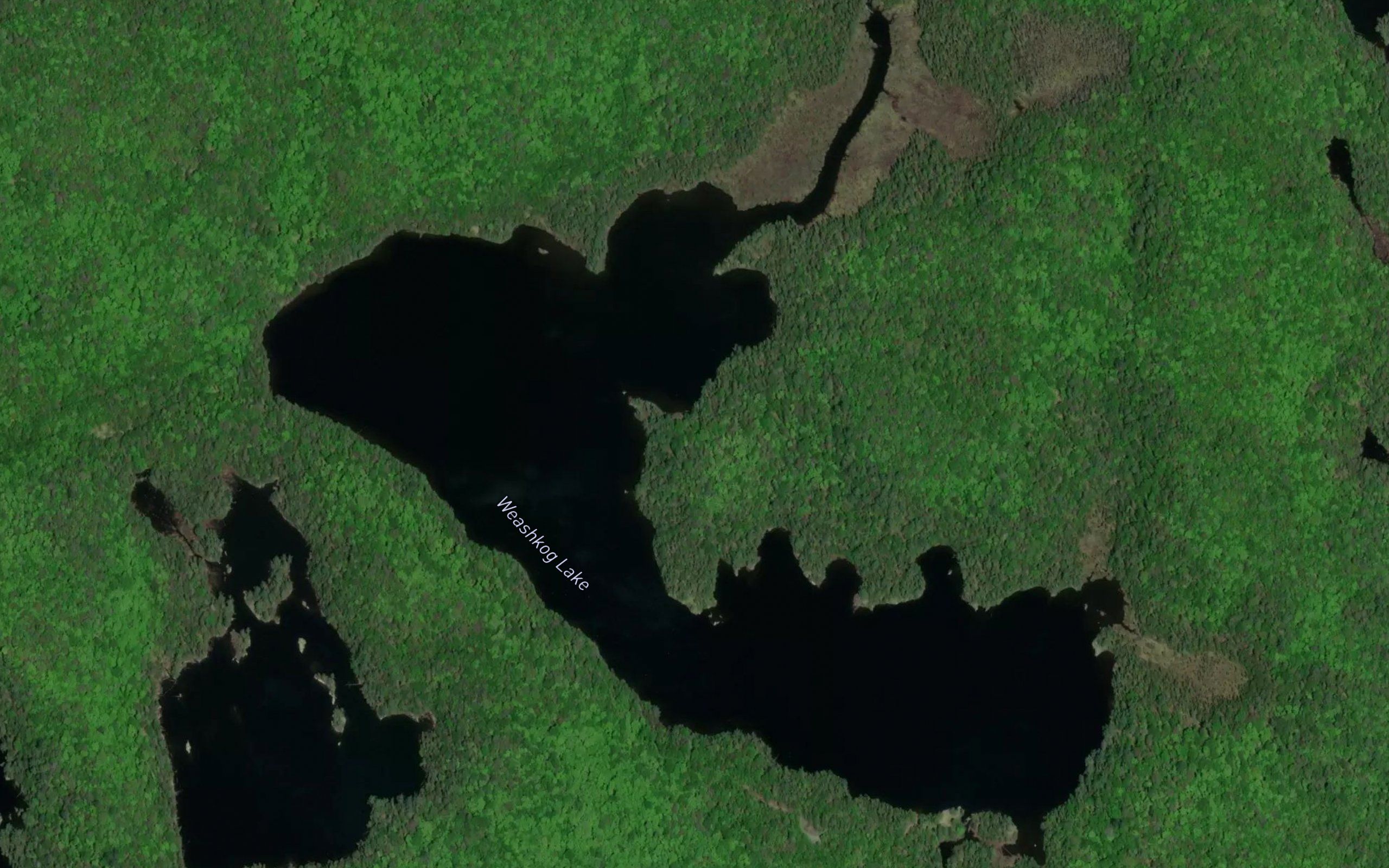 Weashkog Lake