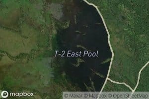 T Pool