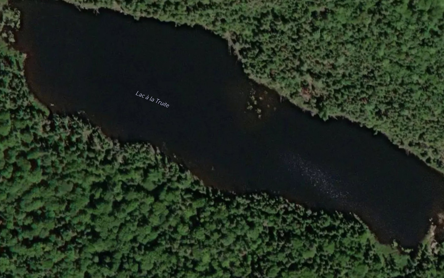 Satellite map of the Lac a la Truite