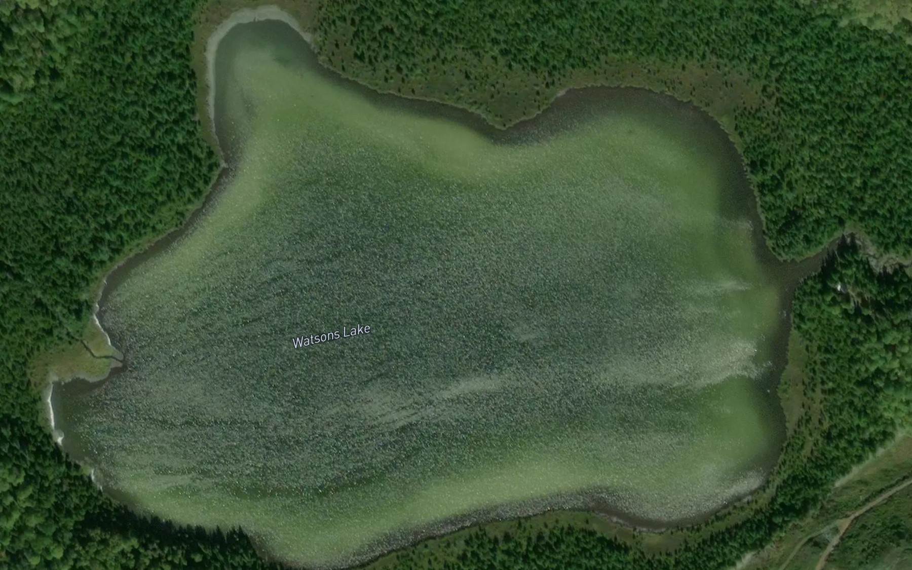 Satellite map of the Watsons Lake
