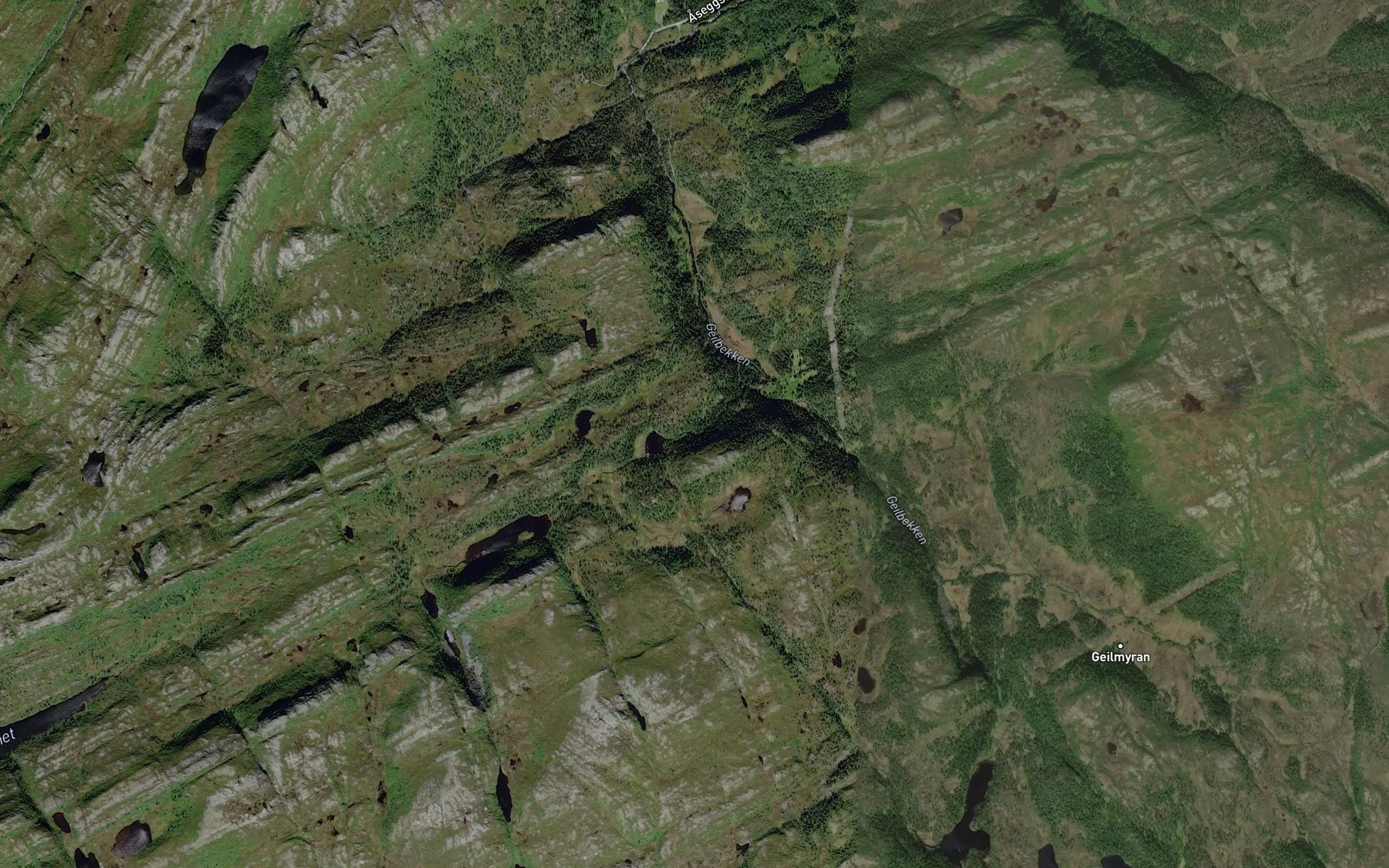 Satellite map of the Damtjornbekken