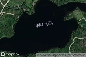 Vikarsjoen
