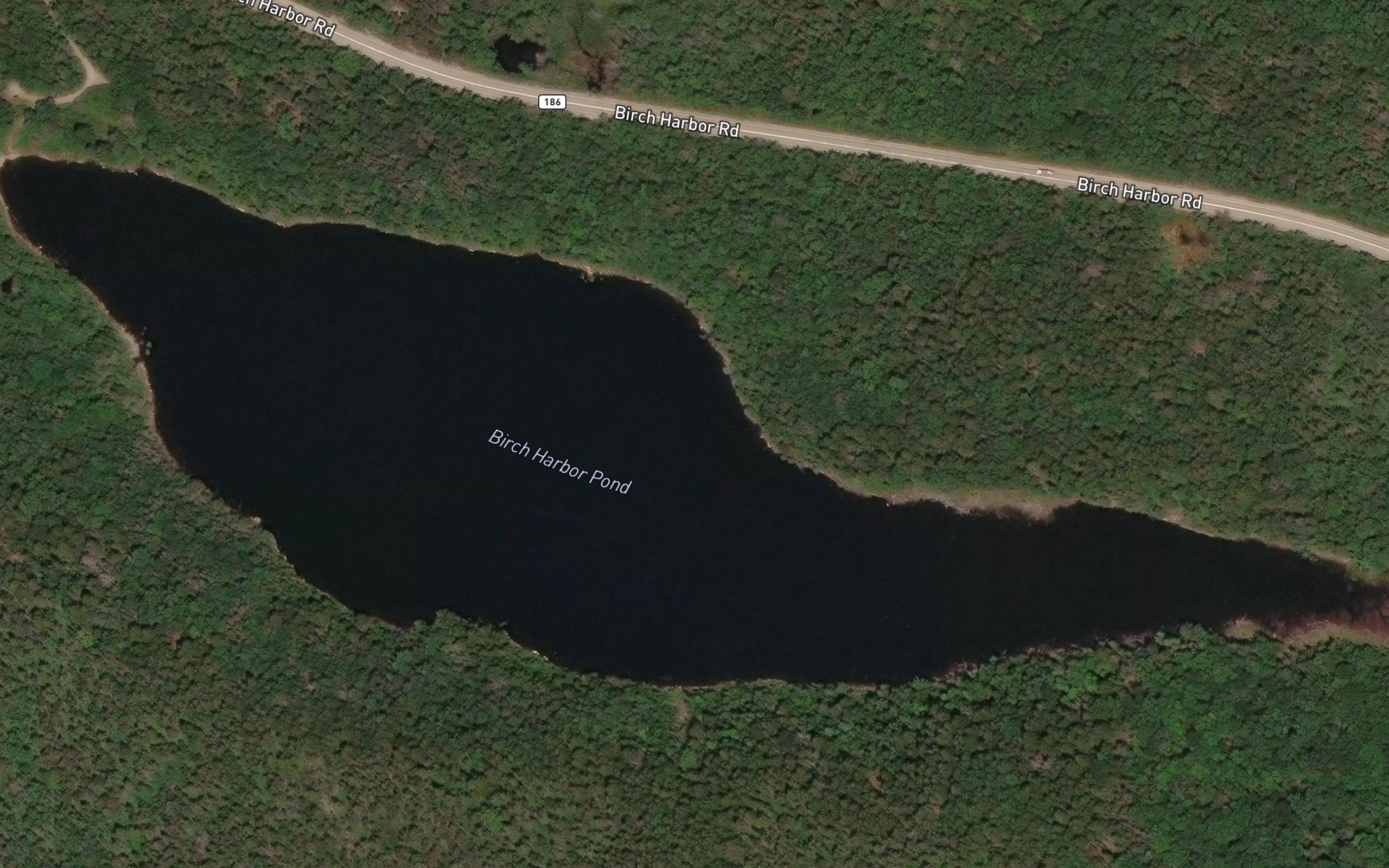 Birch Harbor Pond