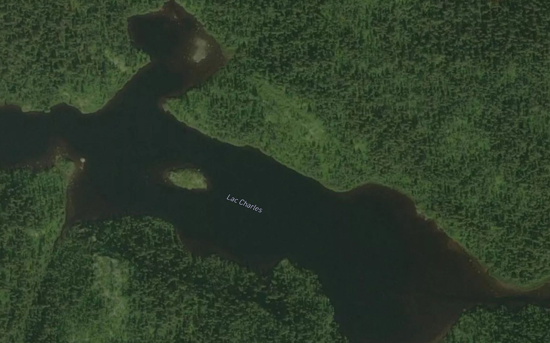 Satellite map of the Lac Charles